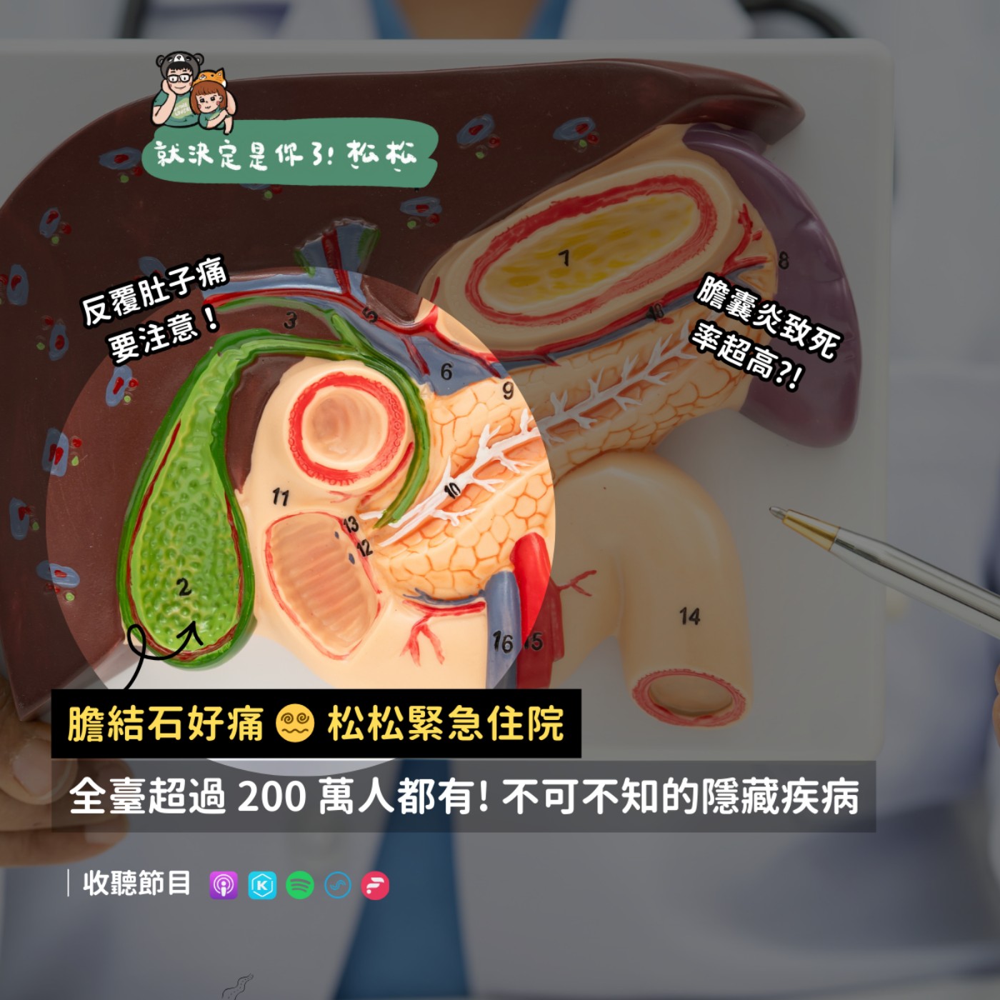 EP119 膽結石 🧨 尿液變紅茶、便便像陶土 🚽 松松緊急住院 ⚠️