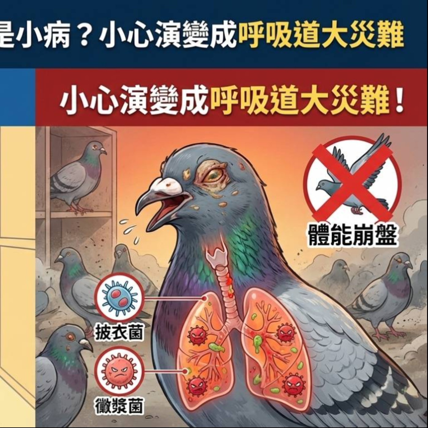 S1-EP012 騙倒老手的殺手：深入剖析鴿子單眼傷風 episode artwork