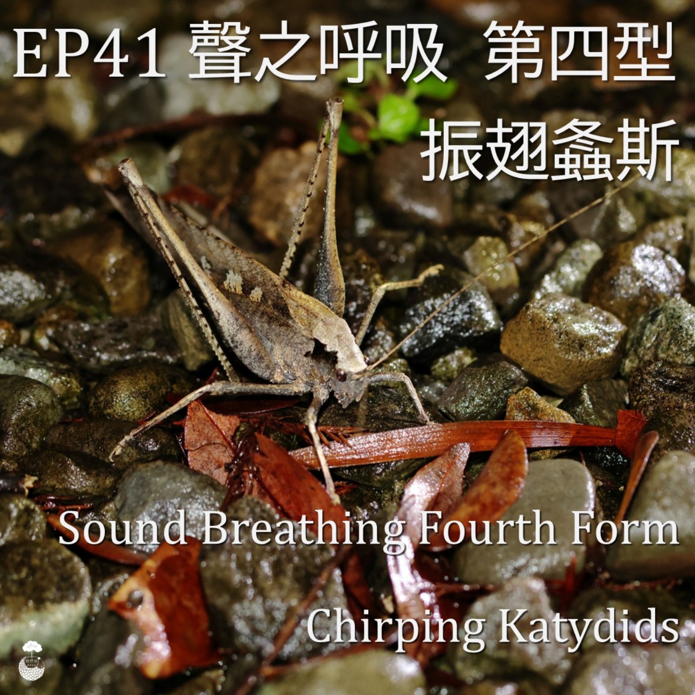 EP44_聲之呼吸_第四型_振翅螽斯