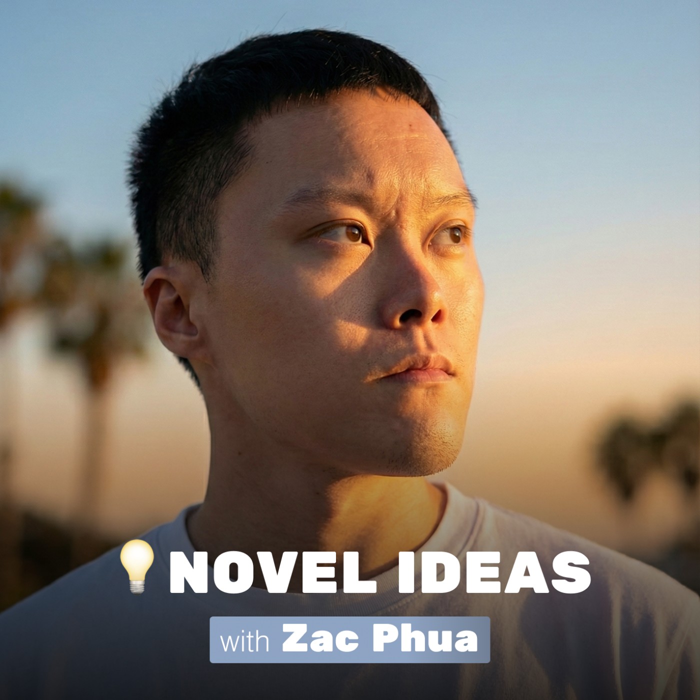 Novel ideas with Zac Phua cover art