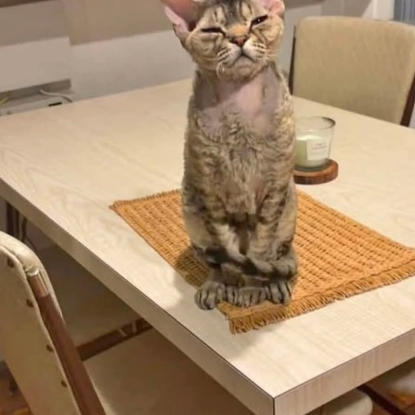 #537 十年人事幾番新/ 泰矛盾的旅程🌏