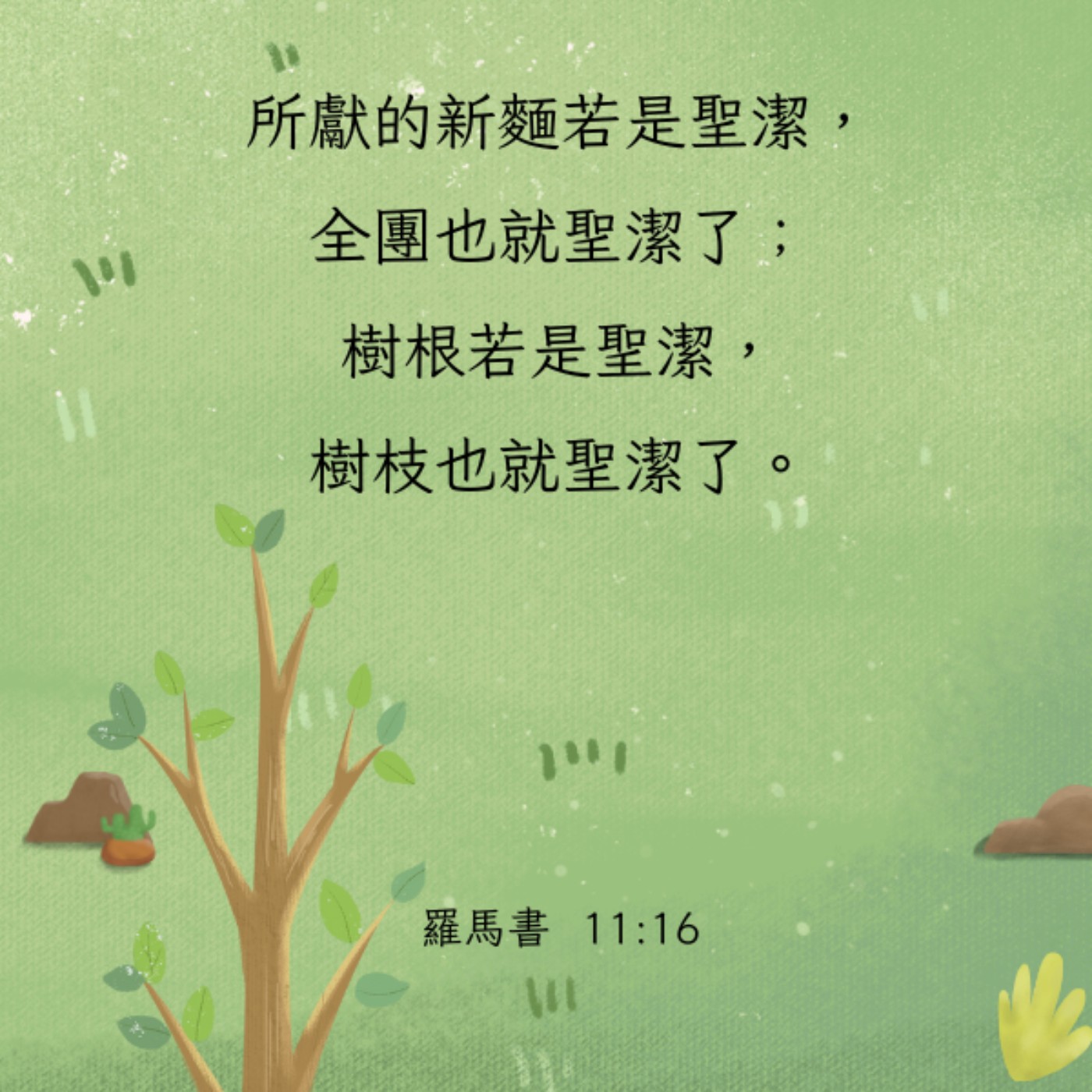 羅馬書 11:16-24 episode artwork