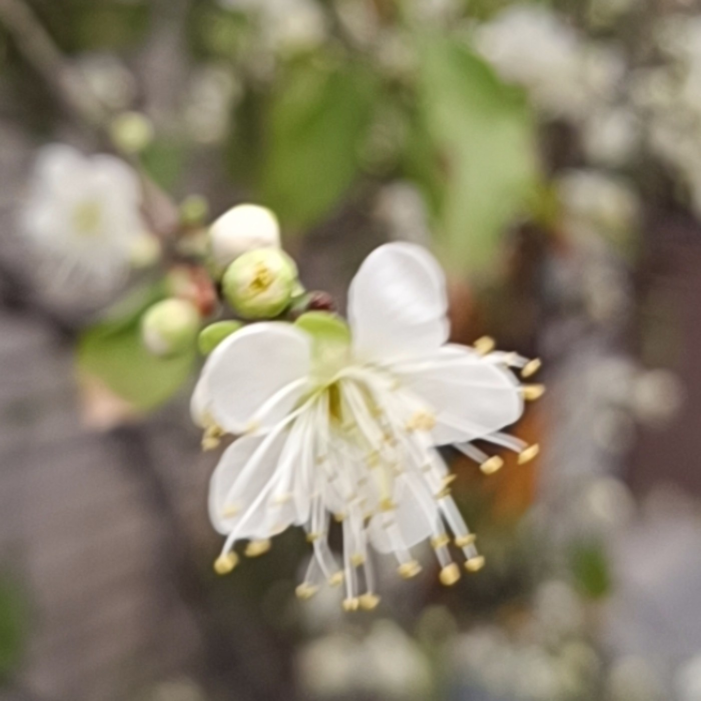 A12-坤鐘回答 Dory 弟兄提問_1150131 A12-坤鐘回答 Dory 弟兄提問_1150131