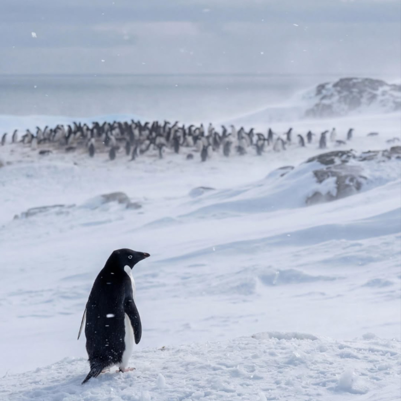 #539 生命作賭注：人點解要挑戰自己？ ft. 大師兄Roger