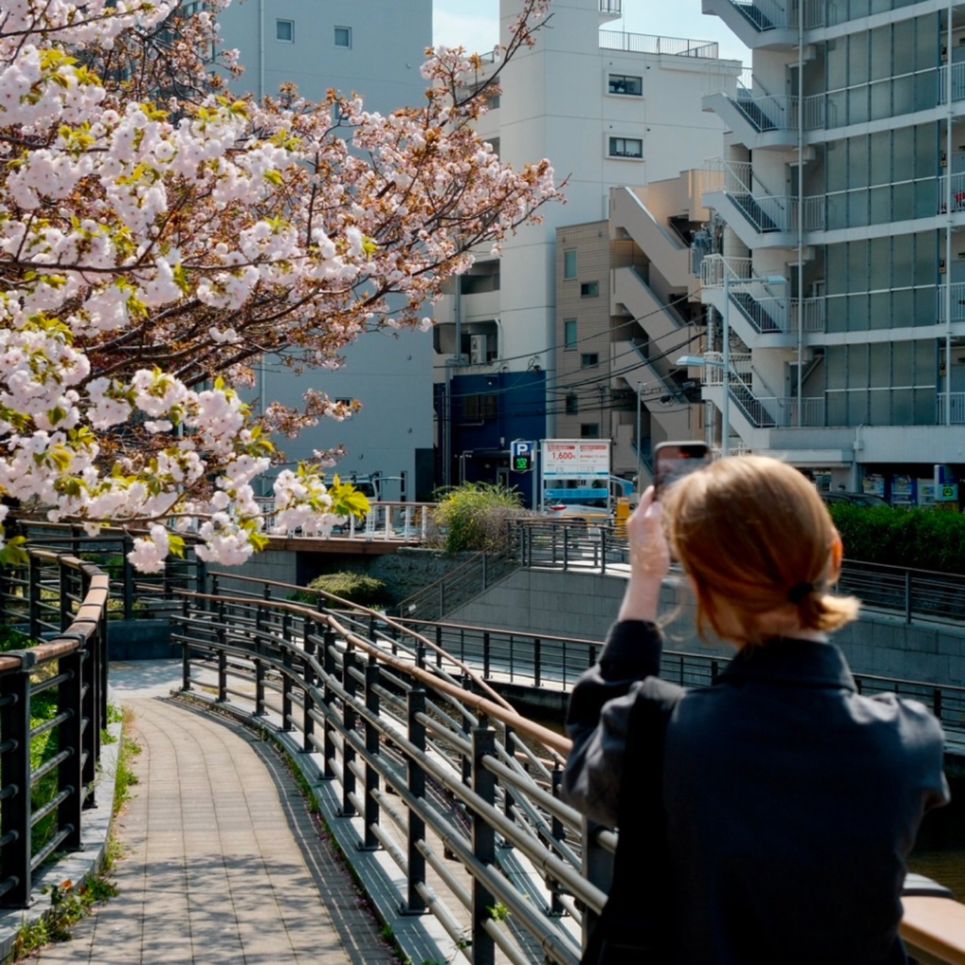 EP63 我難過的是放棄的夢被打碎