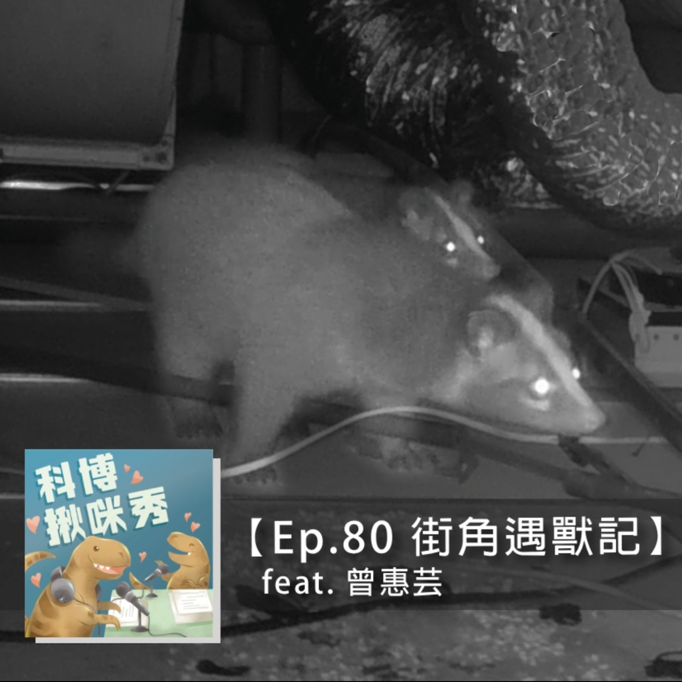 Ep.80 街角遇獸記 feat. 曾惠芸&林思民 aka 結合家庭資源與研究資源超強組合