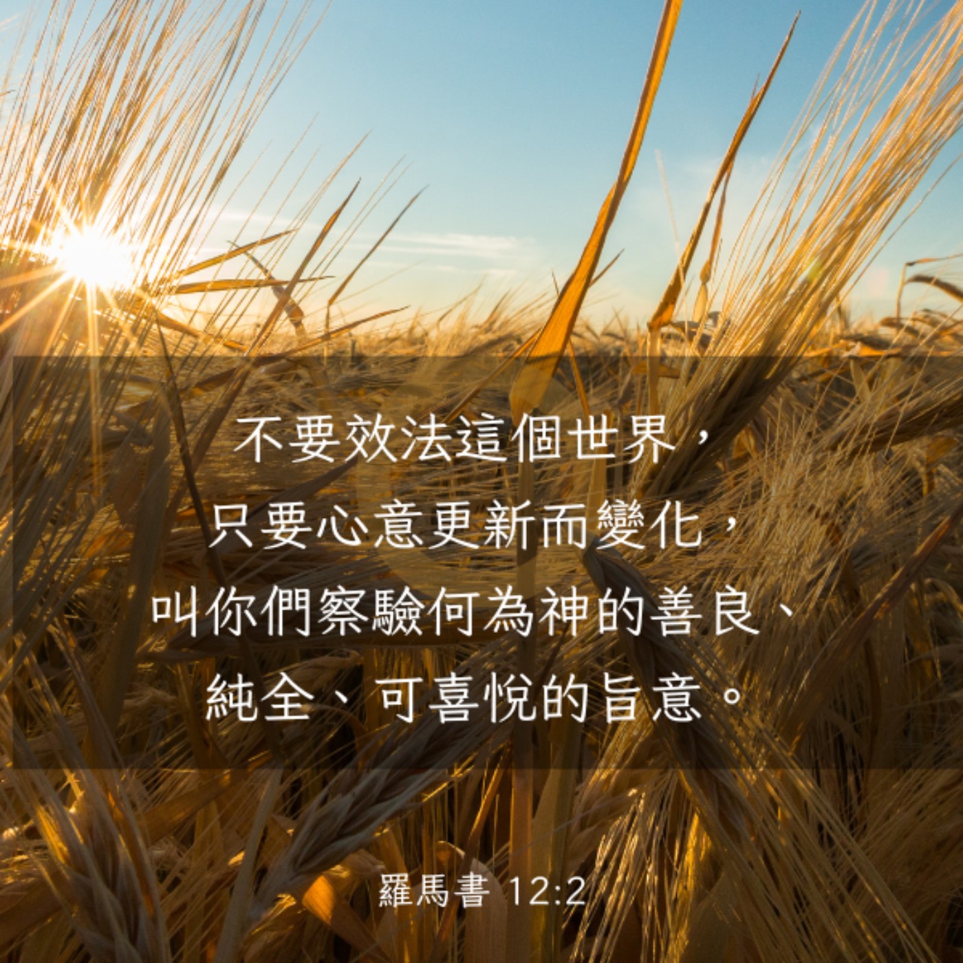 羅馬書 12:1-8 episode artwork
