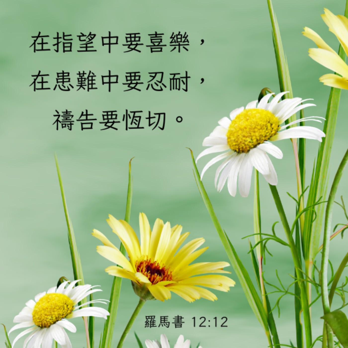 羅馬書 12:9-13 episode artwork