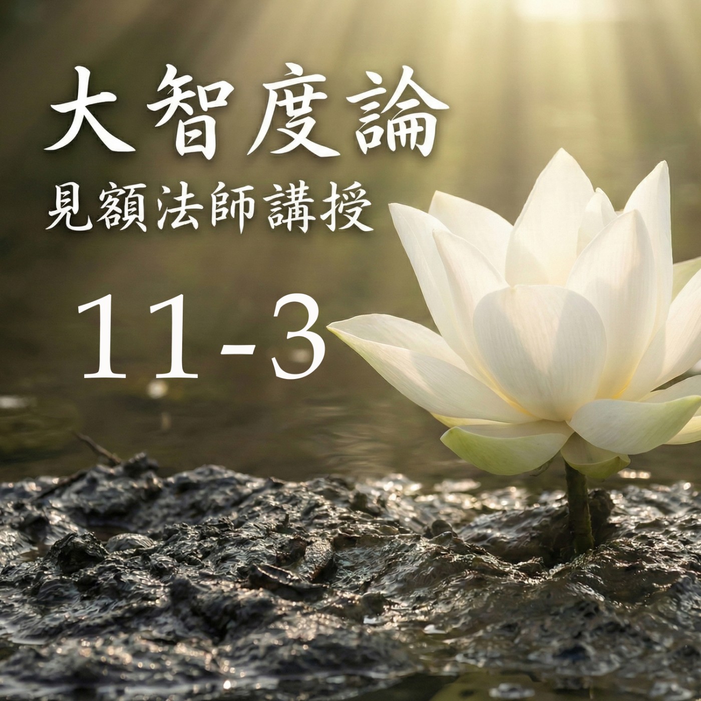 11-3 大智度論 (見額法師講授)  episode artwork