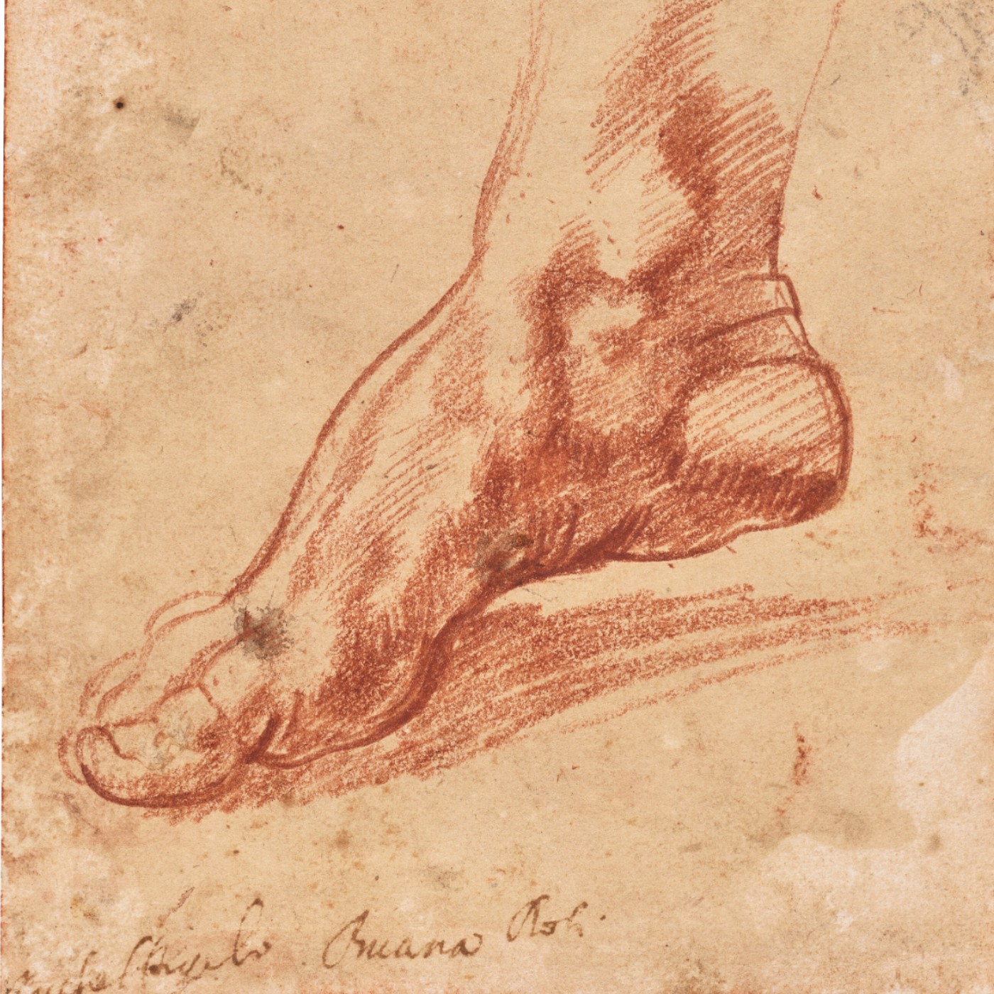 #368 這才是黃金右腳 - 米開朗基羅《利比亞女先知之足習作》