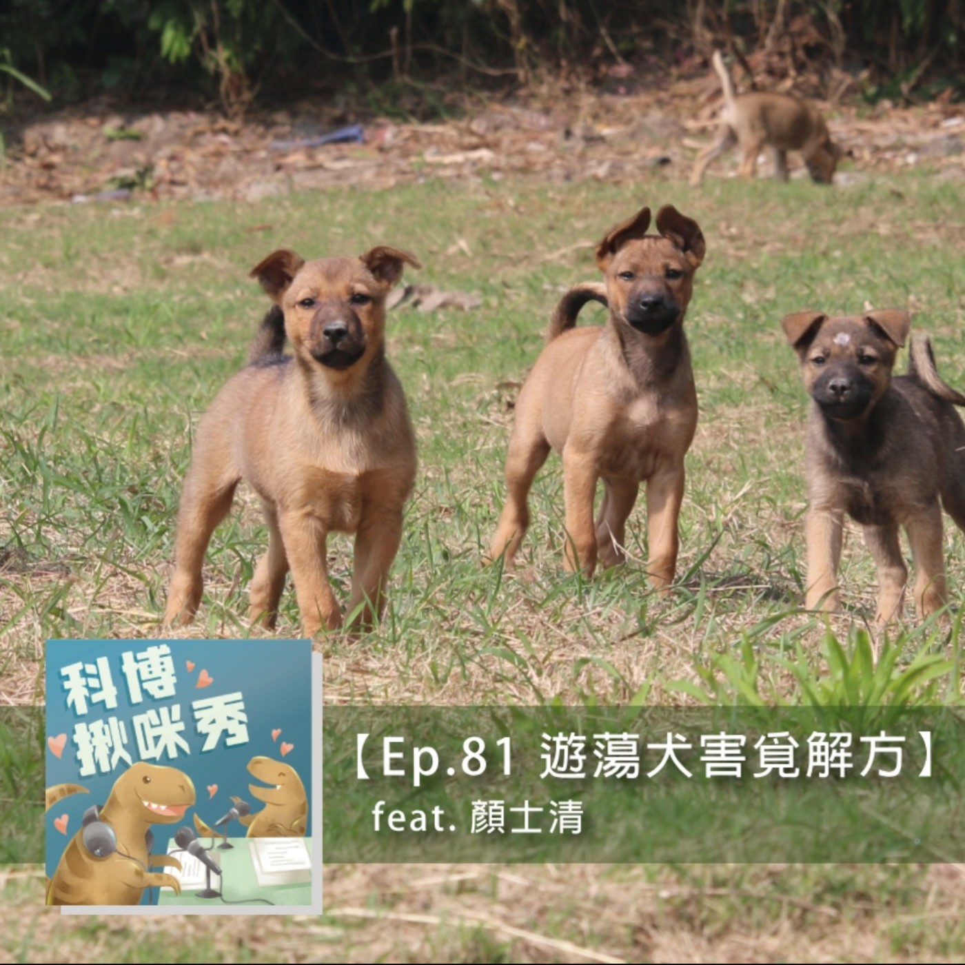 Ep.81 遊蕩犬害覓解方 feat. 顏士清 aka 動保野保平衡點