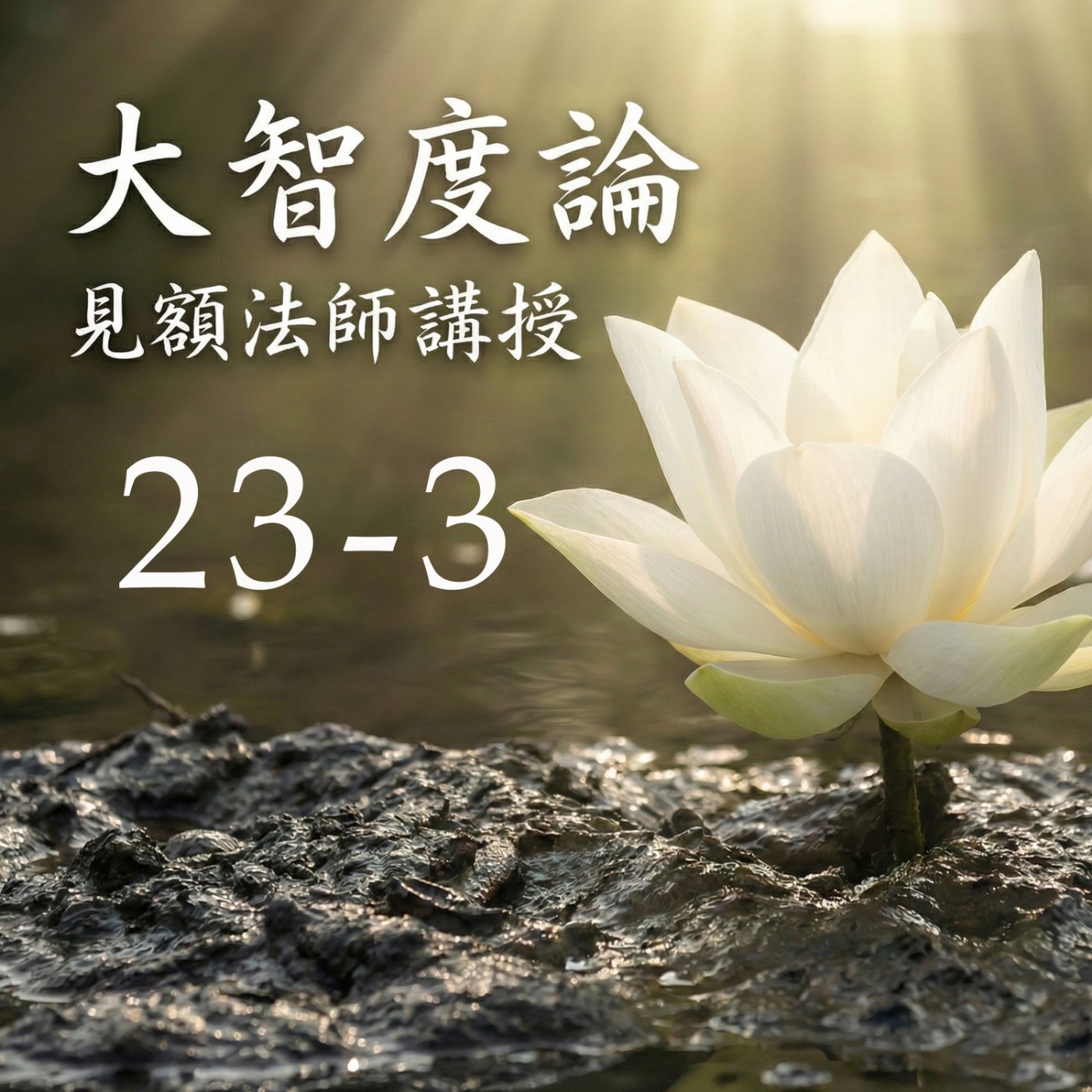 23-3 大智度論 (見額法師講授) episode artwork