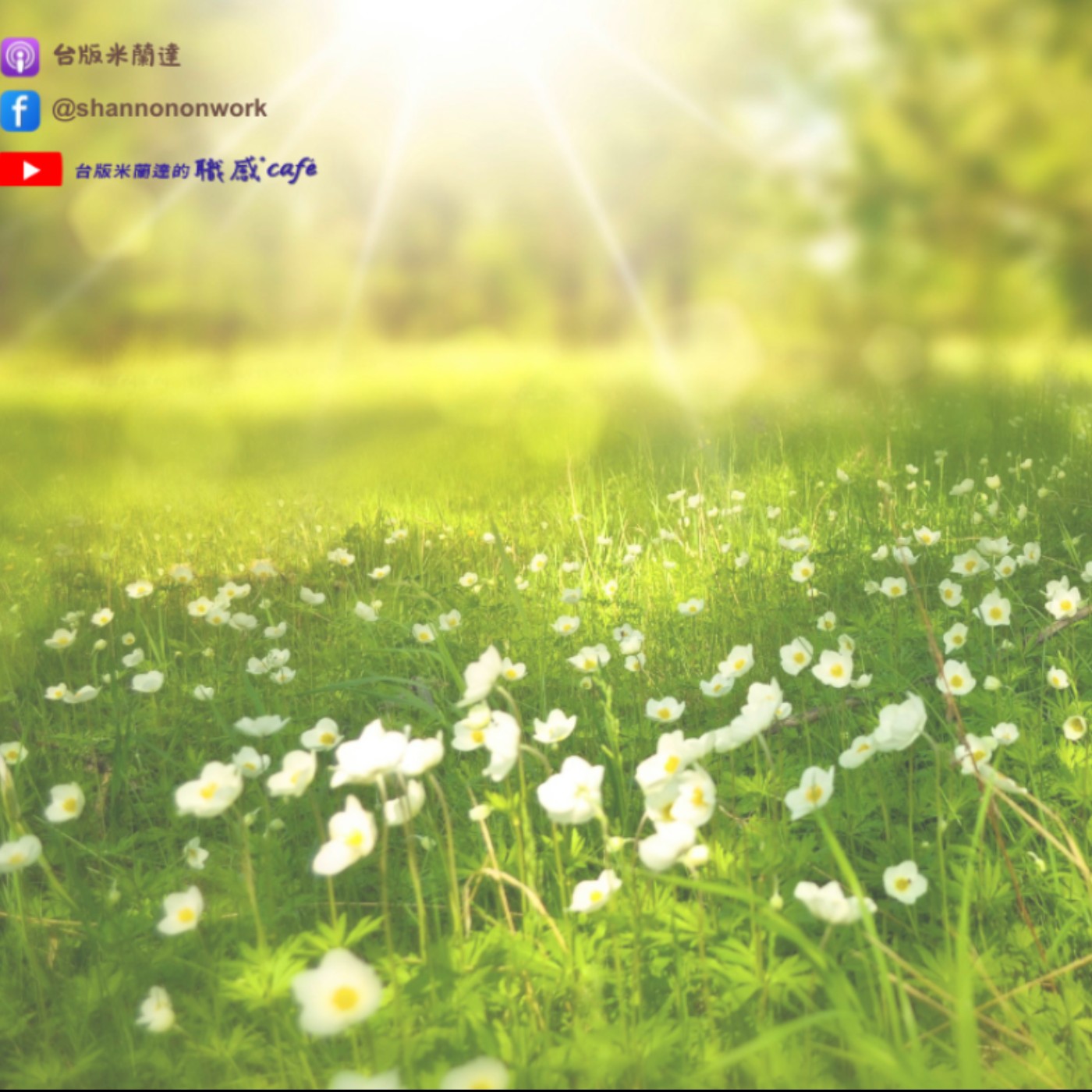 E259【Café Breathe：職感咖啡音樂】初春：聲音的回暖