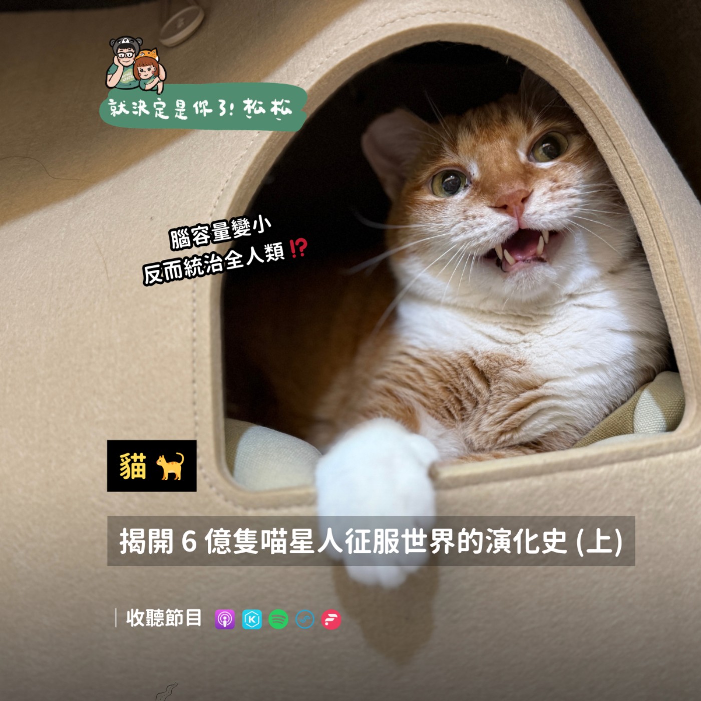 EP121 貓🐱腦容量變小反而統治全人類 ⁉️ 揭開6億隻喵星人征服世界的演化史 (上)