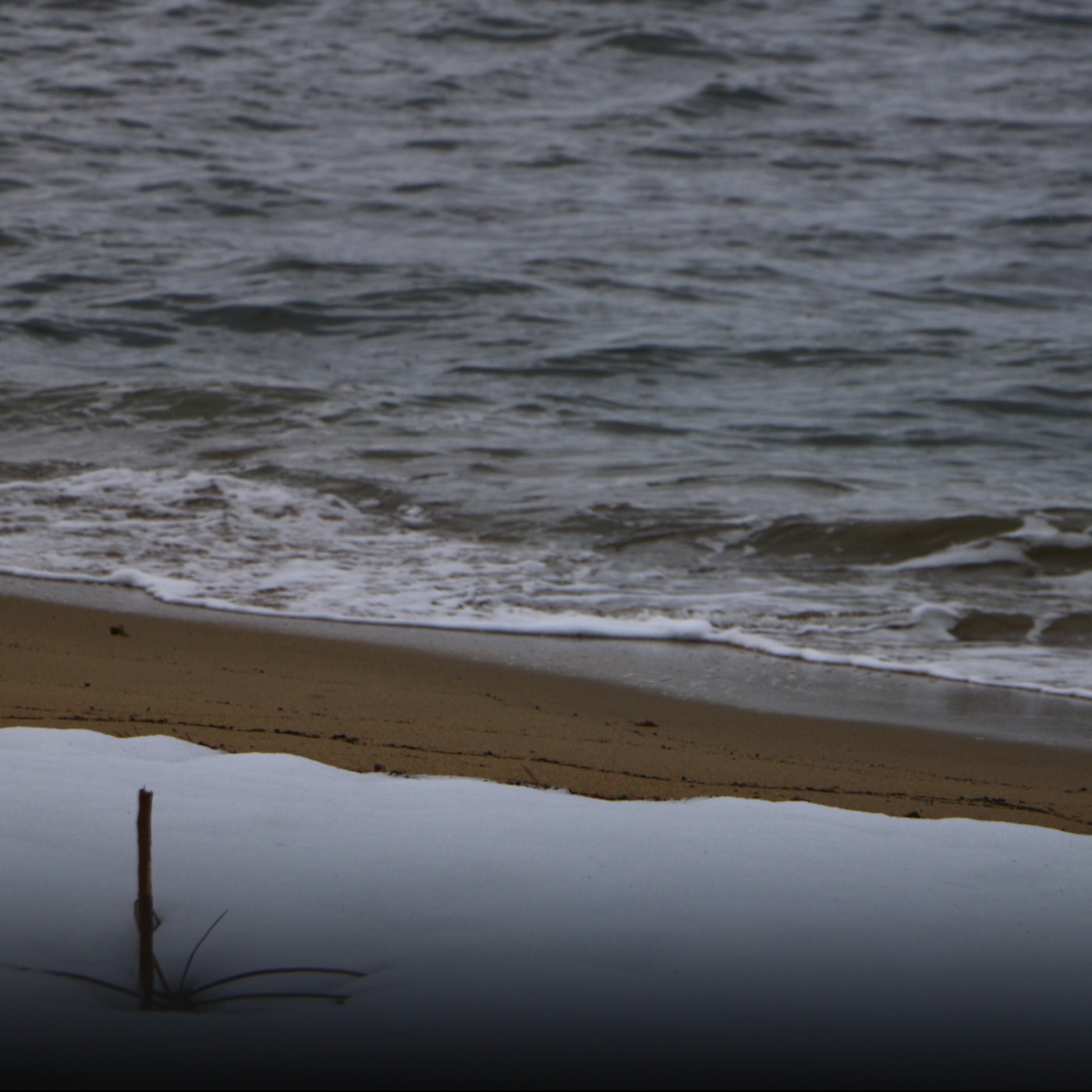 心之行旅 Go with Your Heart