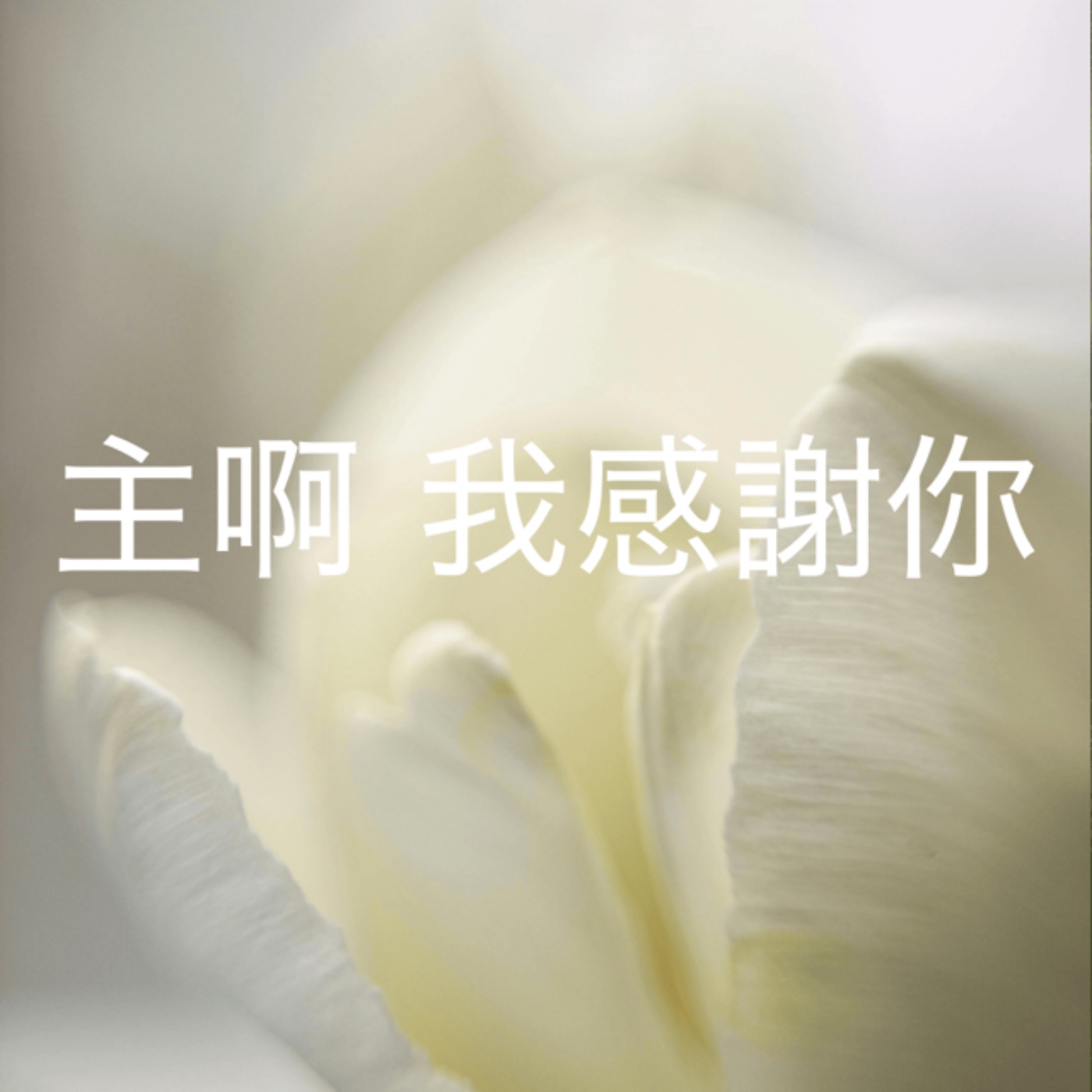 529【主啊，我感謝你】