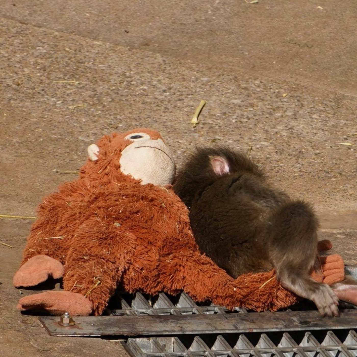 #544 【心事信箱】巴士座位激情唔禮讓/ 新一年目標呃騙徒錢 