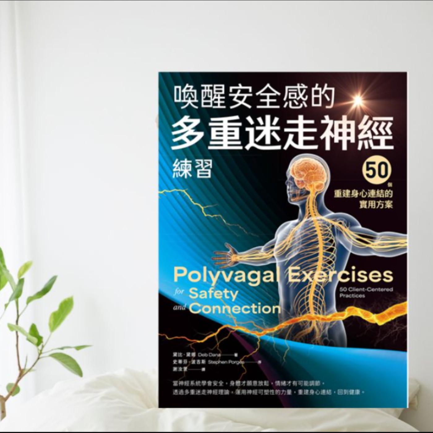 《喚醒安全感的多重迷走神經練習》身心連結的實用方案介紹（下）