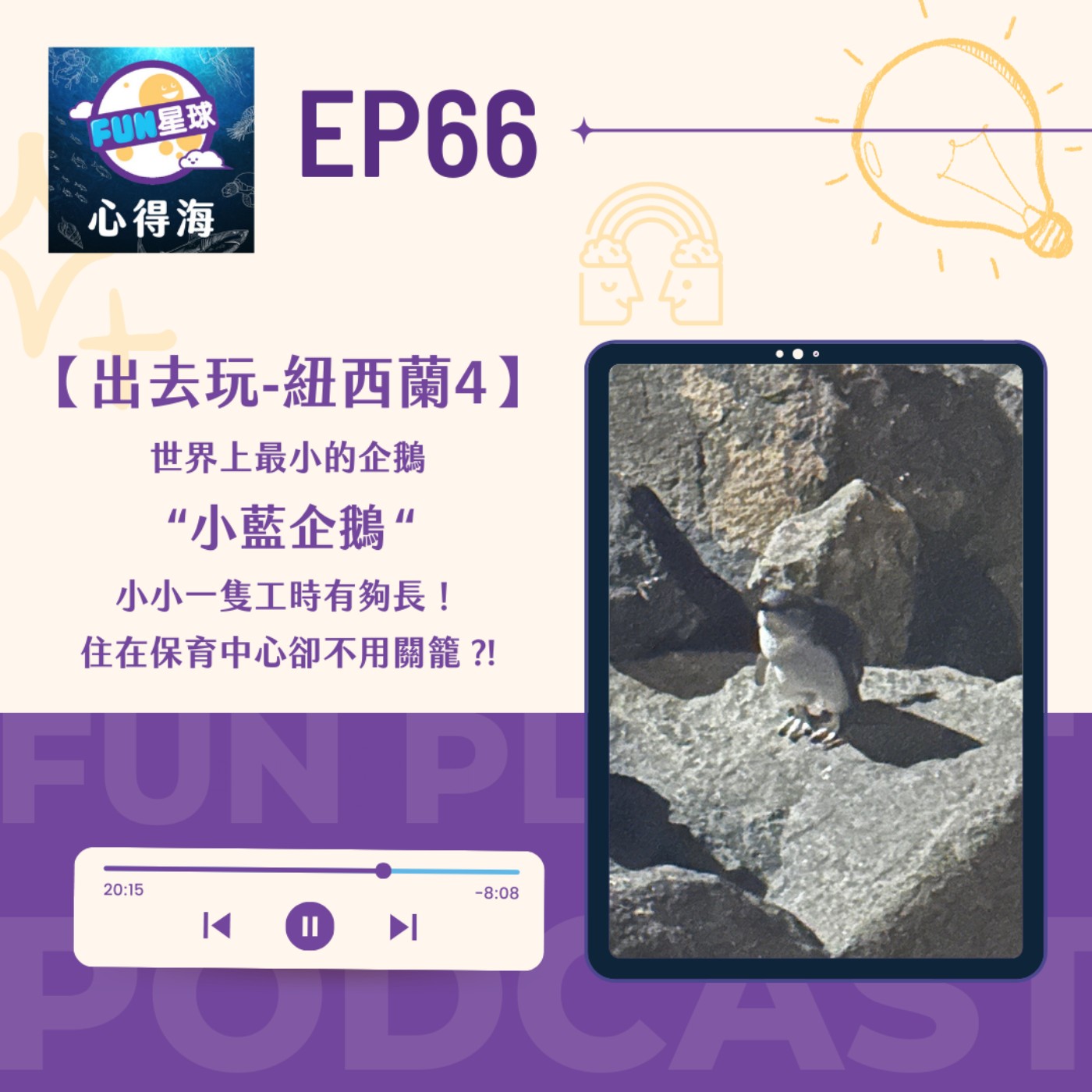 EP66【出去玩】紐西蘭4：世界最小的——小藍企鵝，住保育中心免關籠，每天上下班，工時超級長～