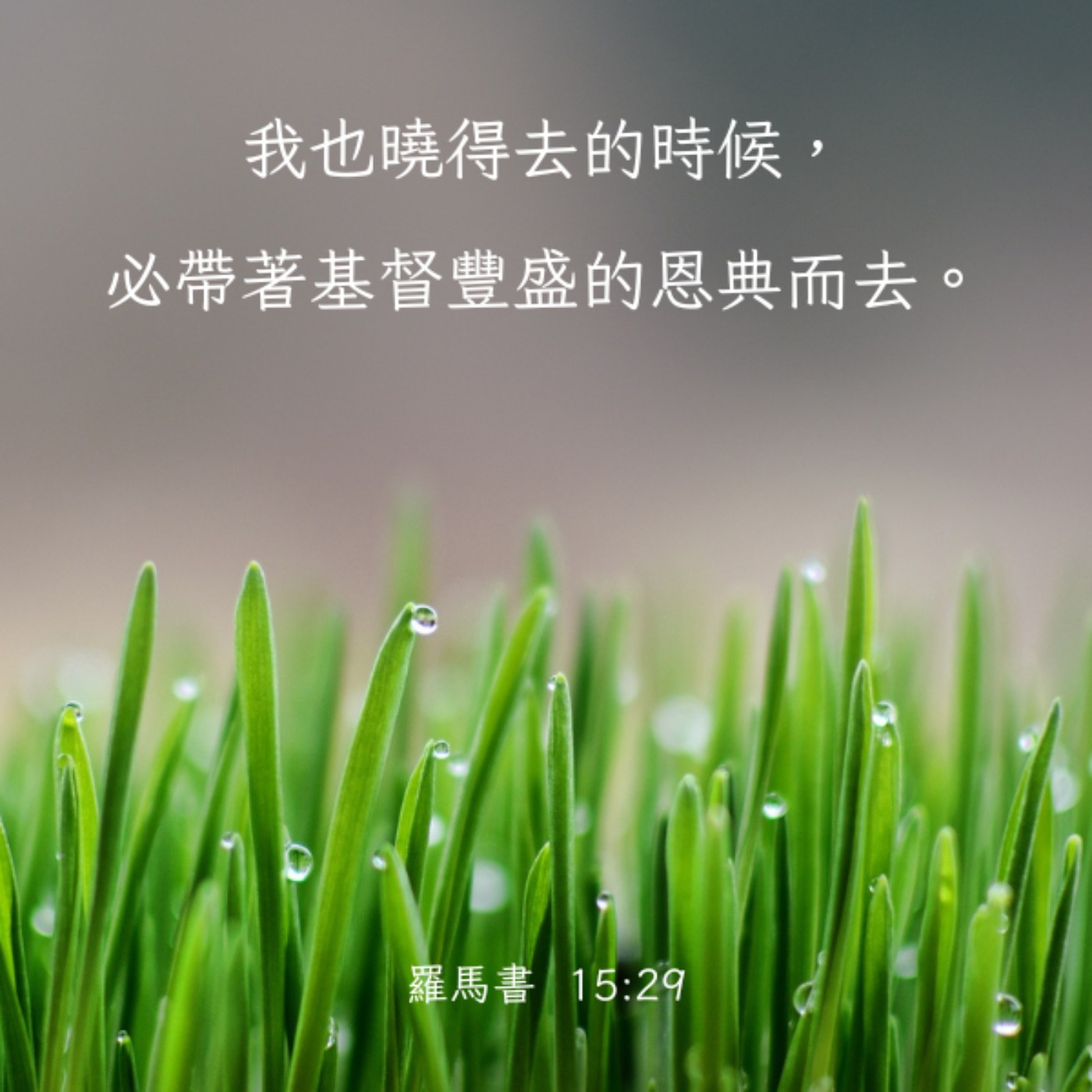 羅馬書 15:22-29 episode artwork