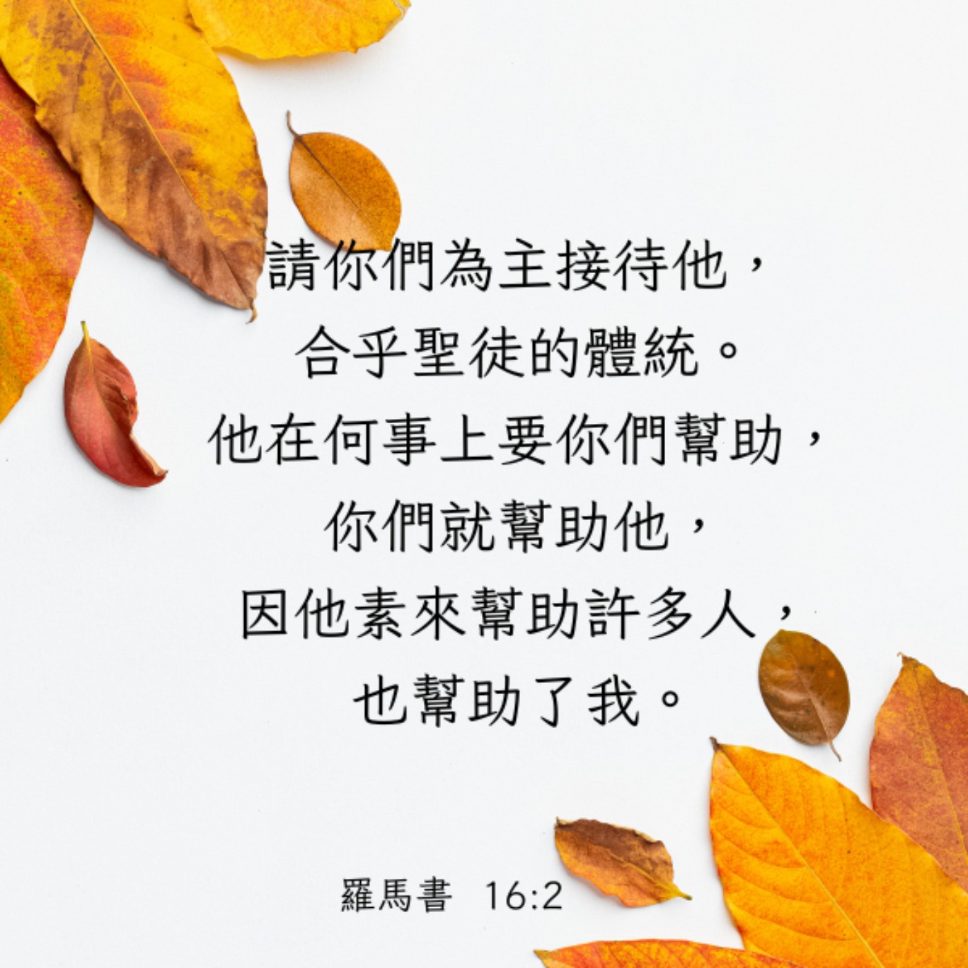 羅馬書 16:1-7 episode artwork