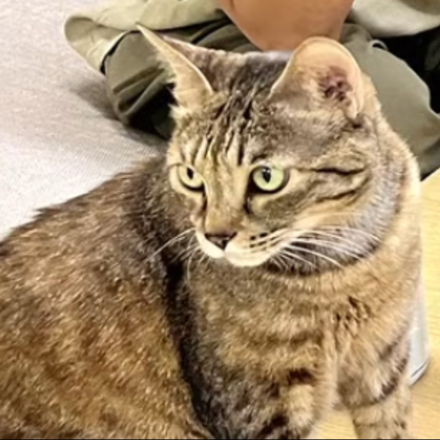 【呱吉直播】呱吉電台EP238：向人生的前輩請教