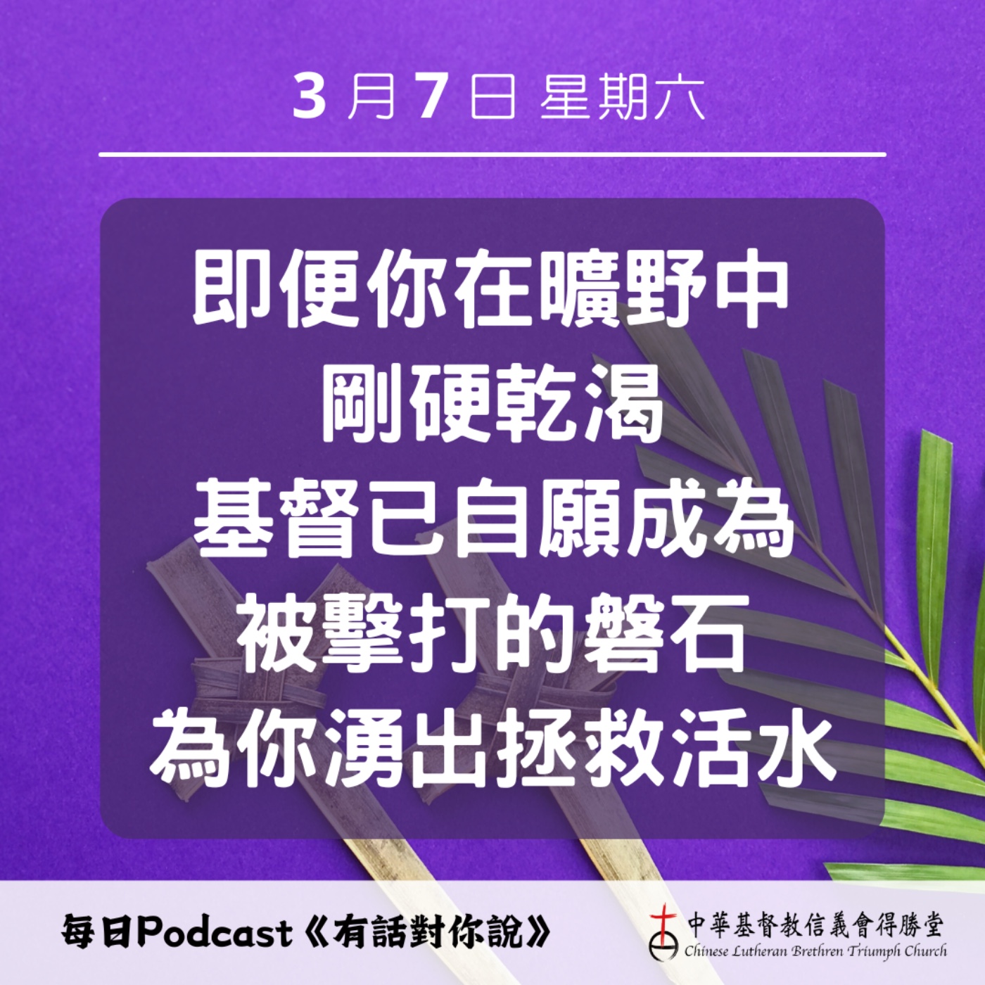 20260307在米利巴歌唱 episode artwork