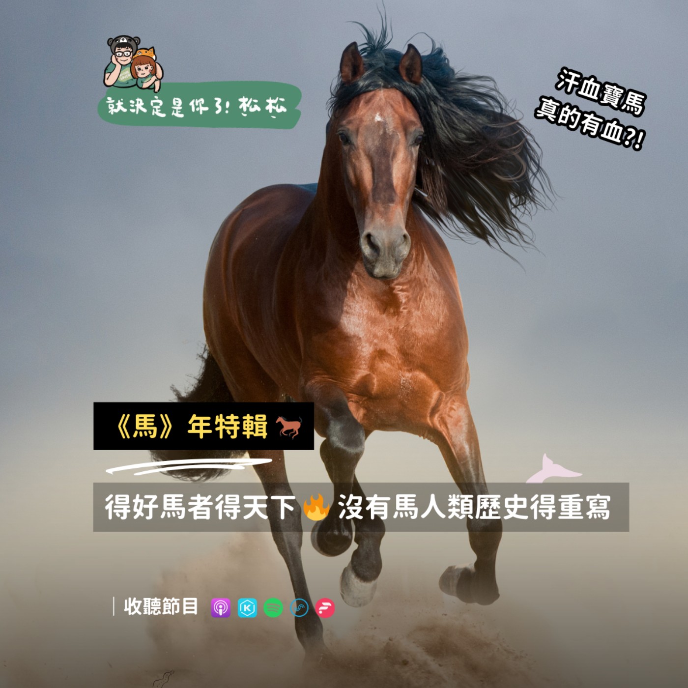 EP123 「馬」年特輯 🐎 汗血寶馬多厲害 ⁉️ 紐約曾差點被馬大便淹沒 🔥