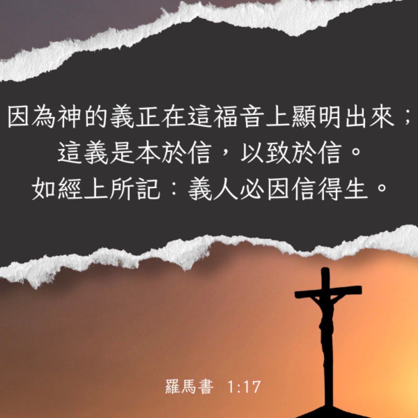羅馬書整卷 episode artwork