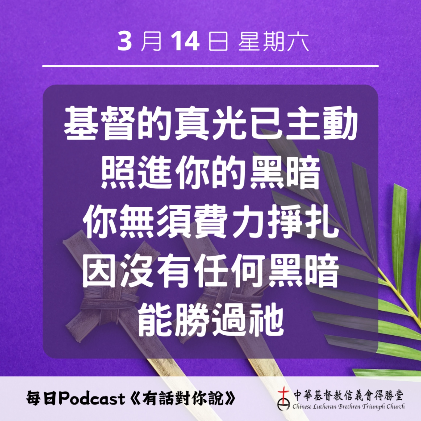 20260314主動照進黑暗的真光 episode artwork