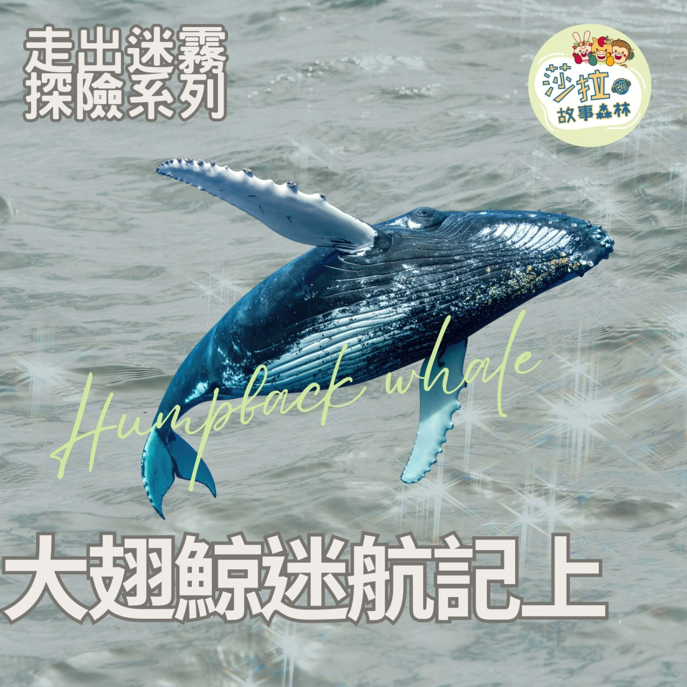 S6 EP17｜走出迷霧_大翅鯨迷航記（上集）