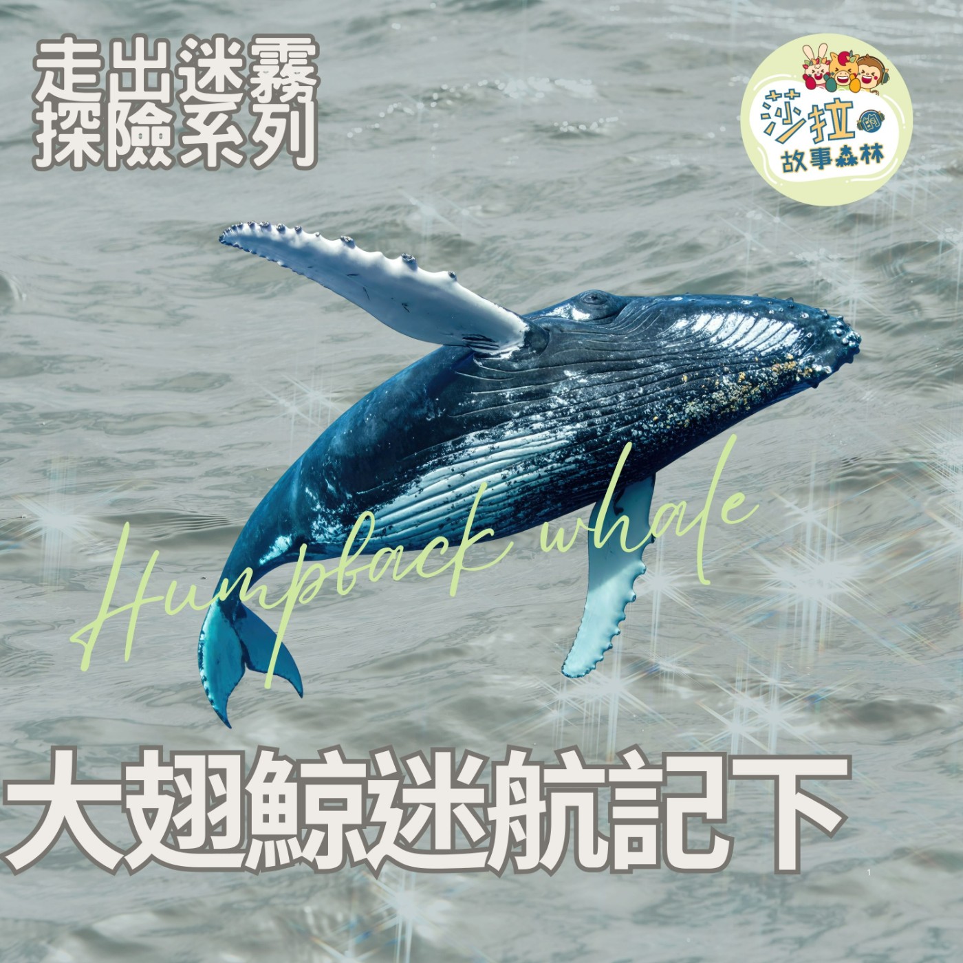 S6 EP18｜走出迷霧_大翅鯨迷航記（下集）