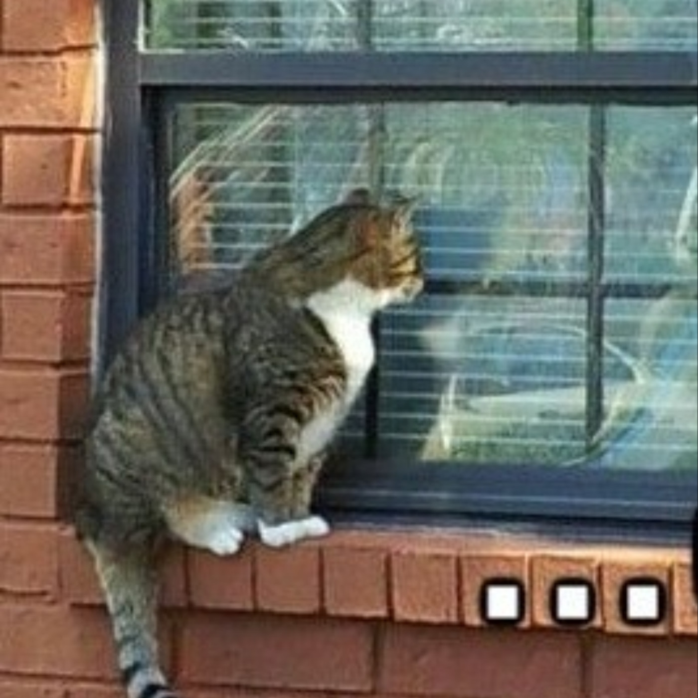 #550 心事信箱：熱情業主太太好想幫我洗衫/ 高級成年人唔怕飛機bad乘客✈️ 