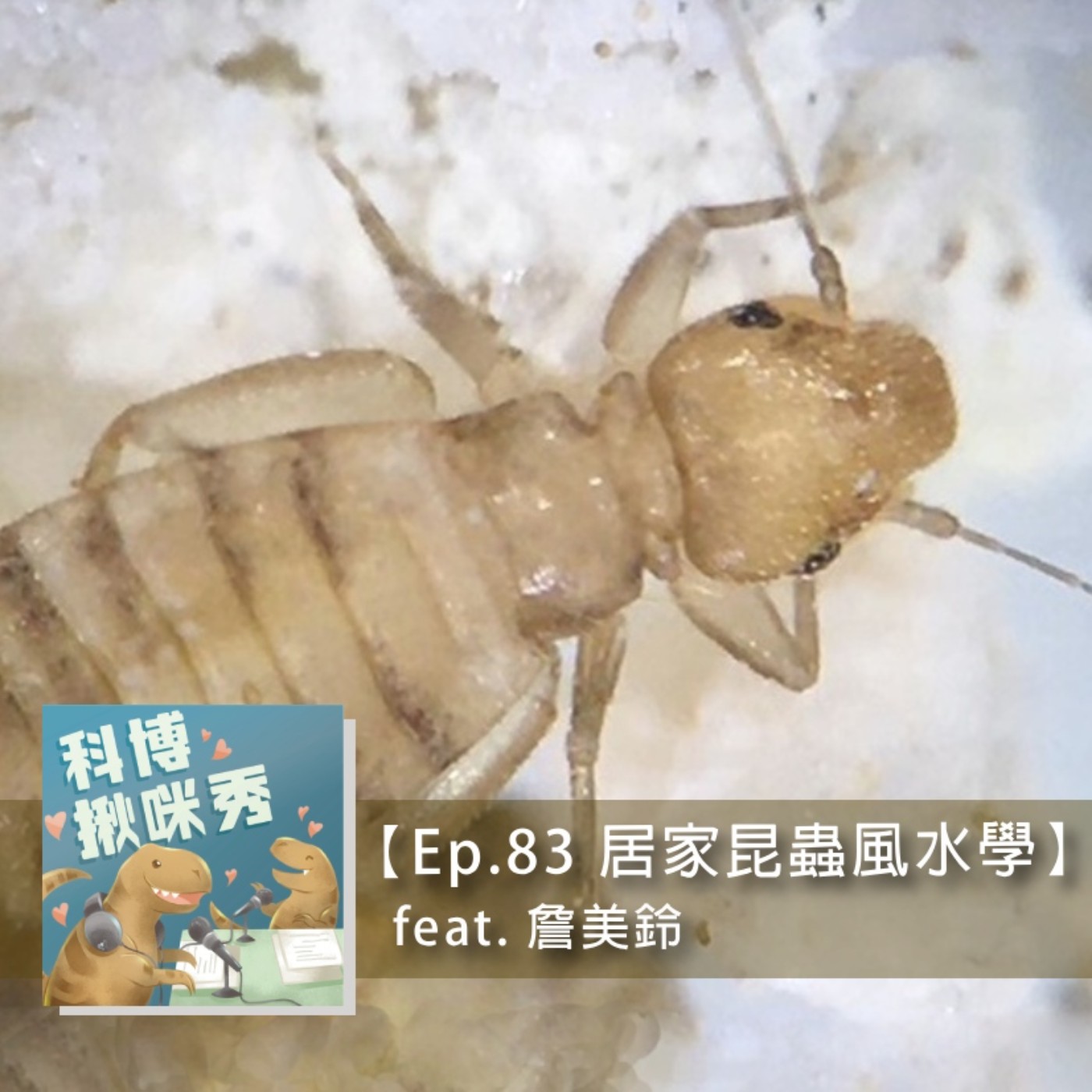 Ep.83 居家昆蟲風水學 feat. 詹美鈴 aka 全力以赴的拼命三娘