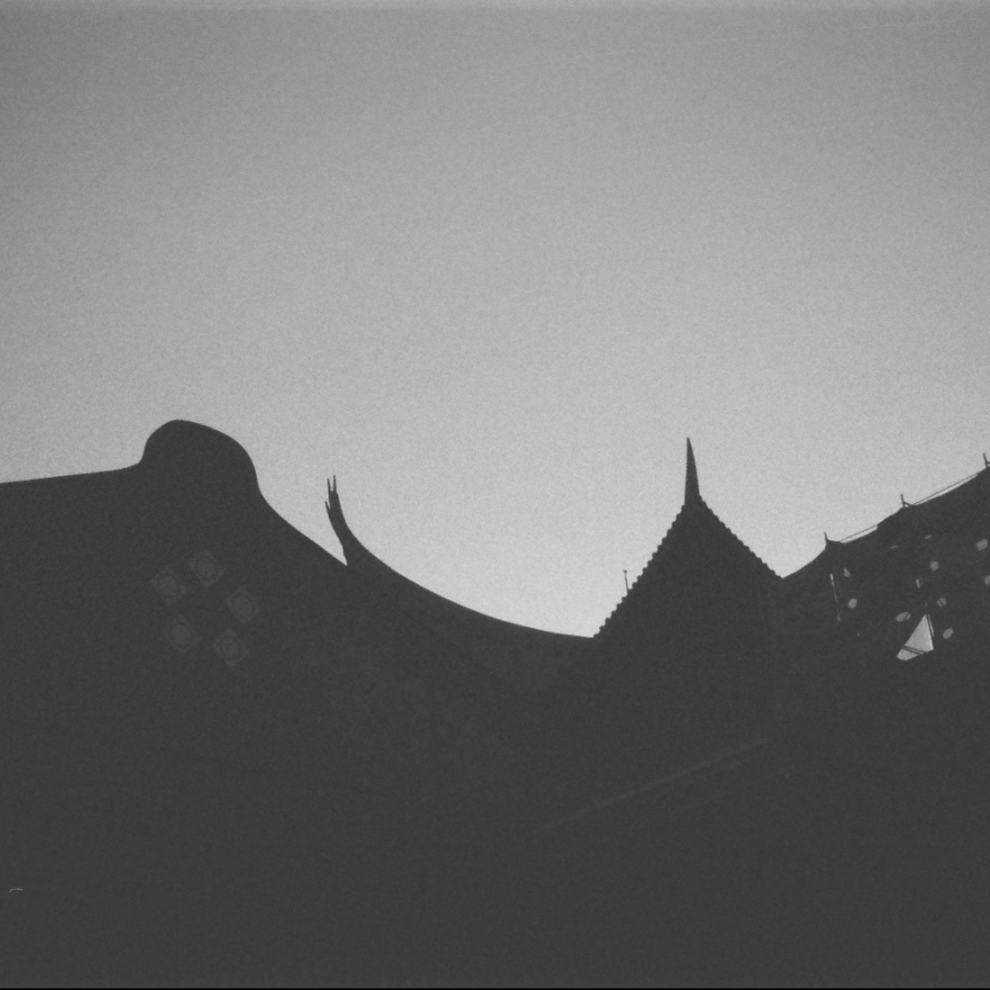 EP67 這很紅欸你沒看過?