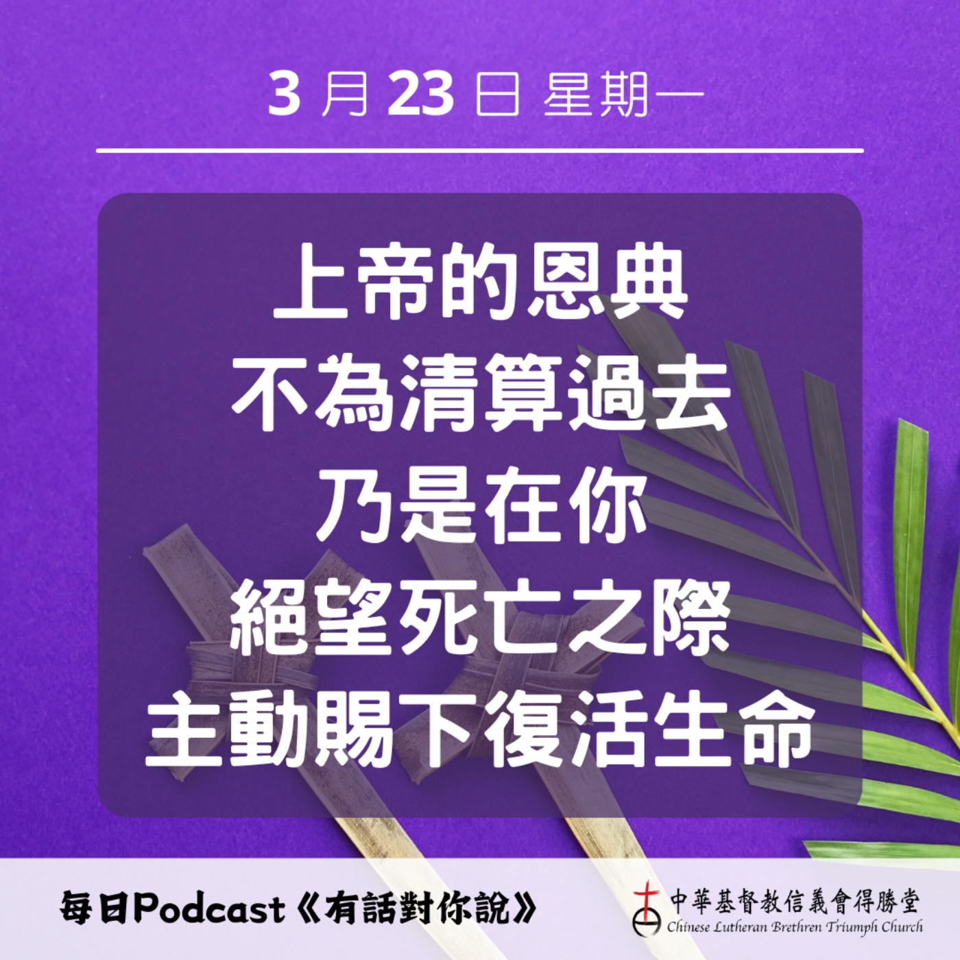 20260323超越因果的恩典 episode artwork