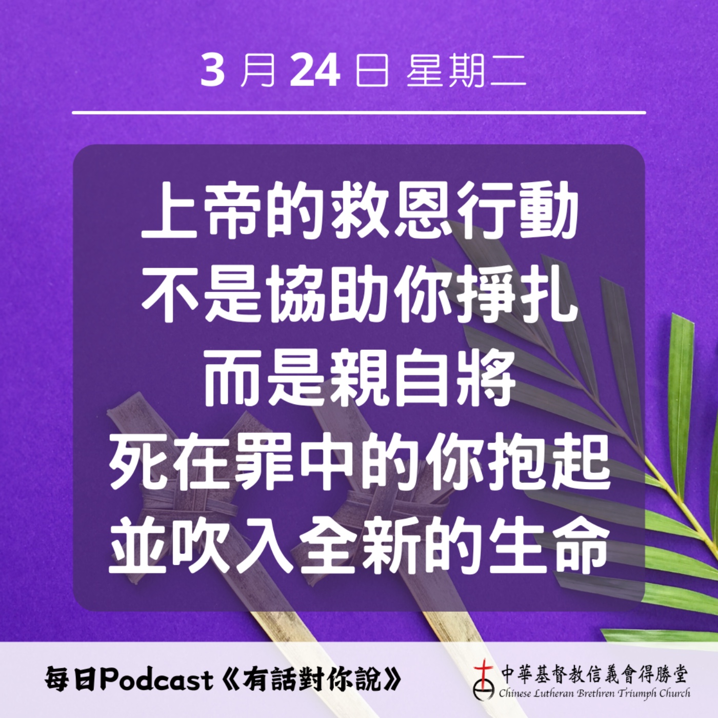 20260324對死人的急救 episode artwork
