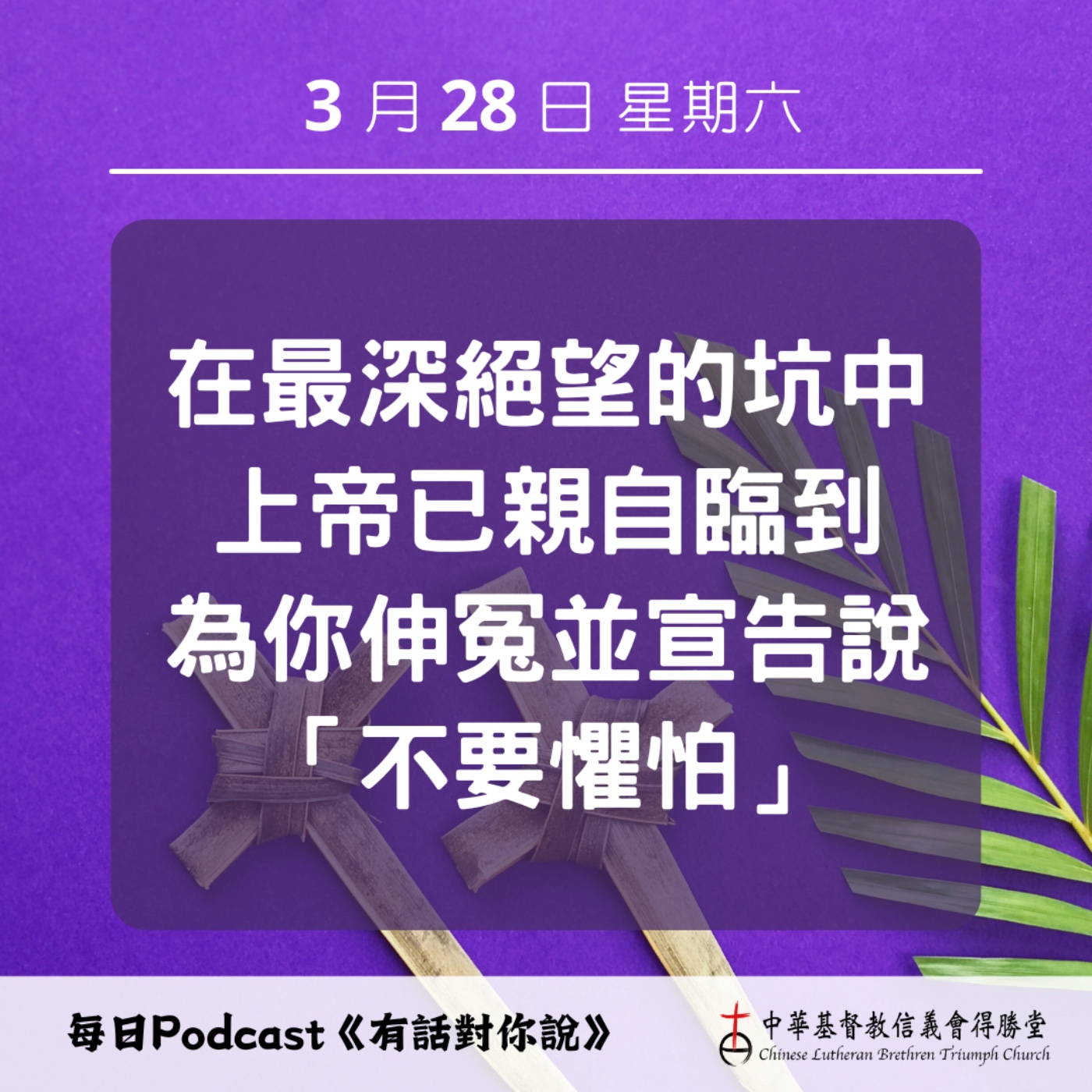20260328在深淵處的拯救 episode artwork