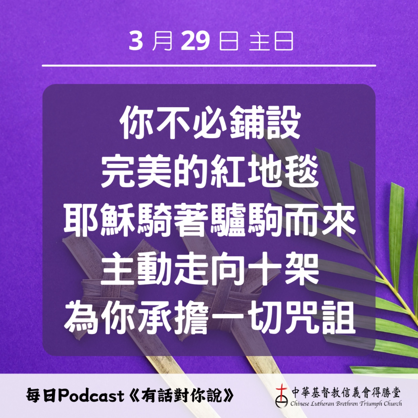 20260329不需要紅地毯的君王 episode artwork