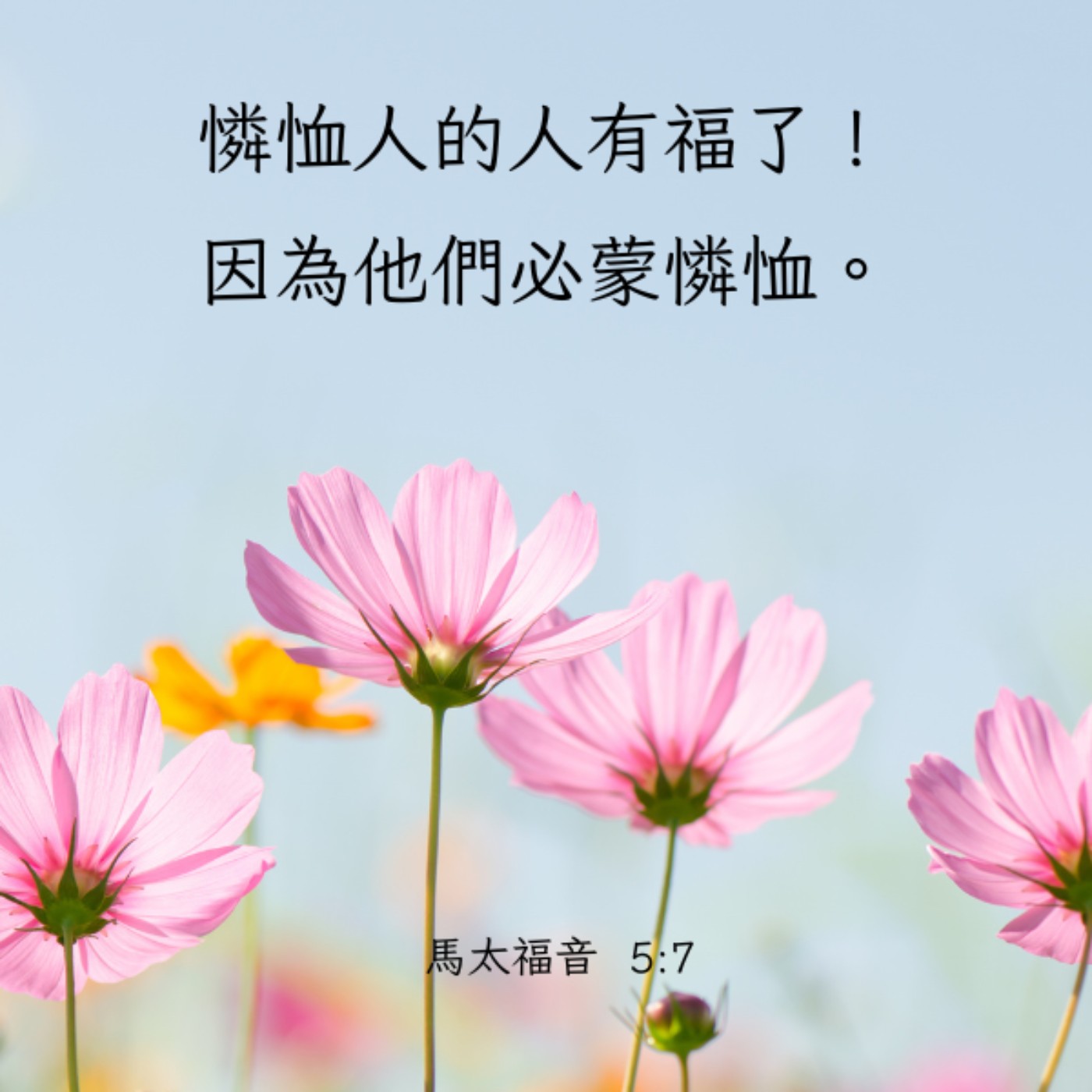 馬太福音 5:5-7 episode artwork