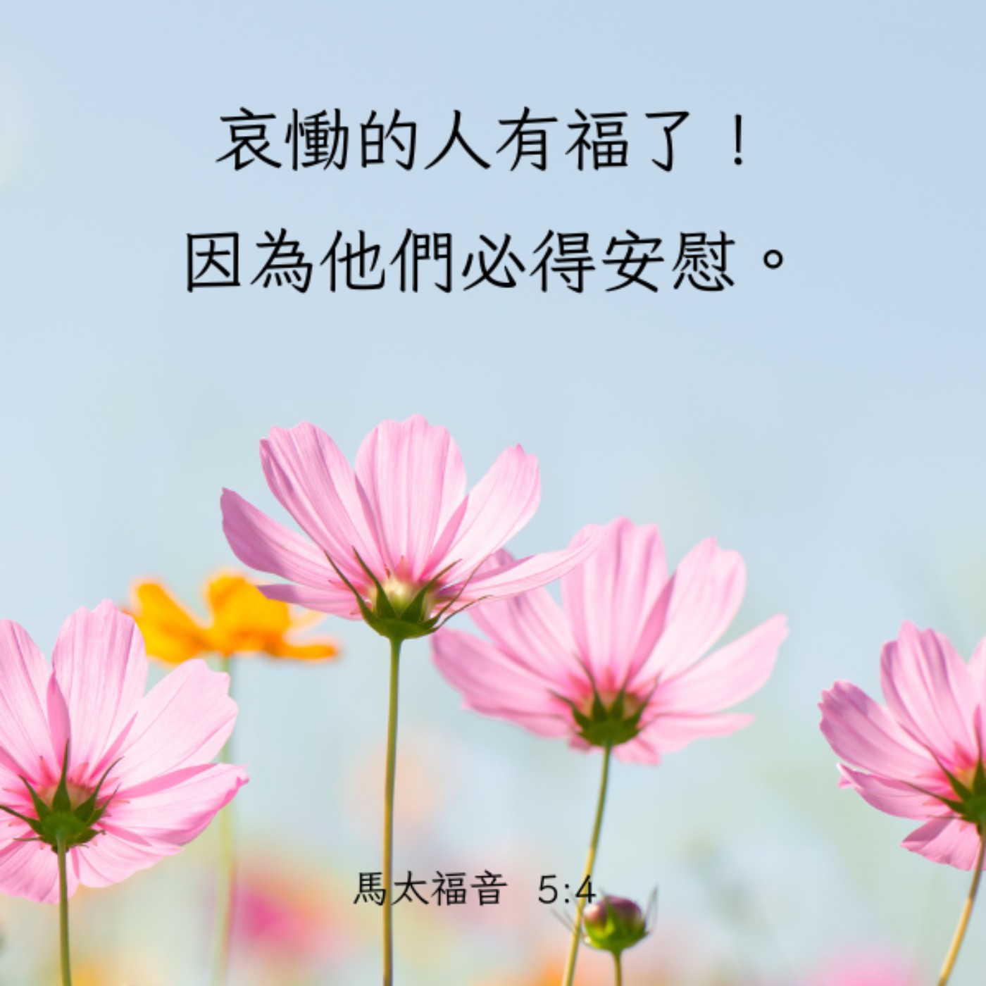 馬太福音 5:1-4 episode artwork