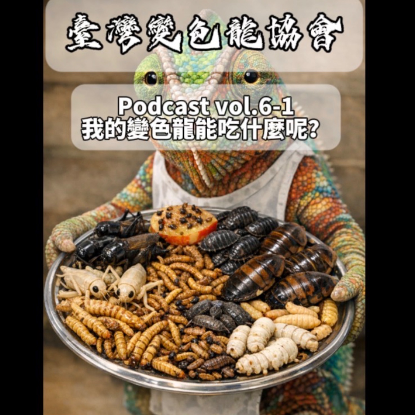 臺灣變色龍協會podcast vol.6-1 我的變色龍能吃什麼呢 episode artwork
