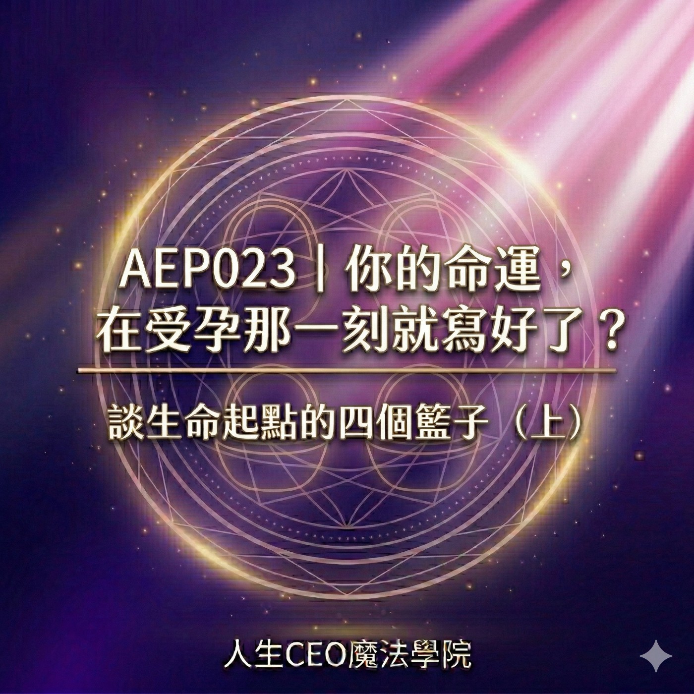 AEP023｜你的命運，在受孕那一刻就寫好了？談生命起點的四個籃子（上） episode artwork