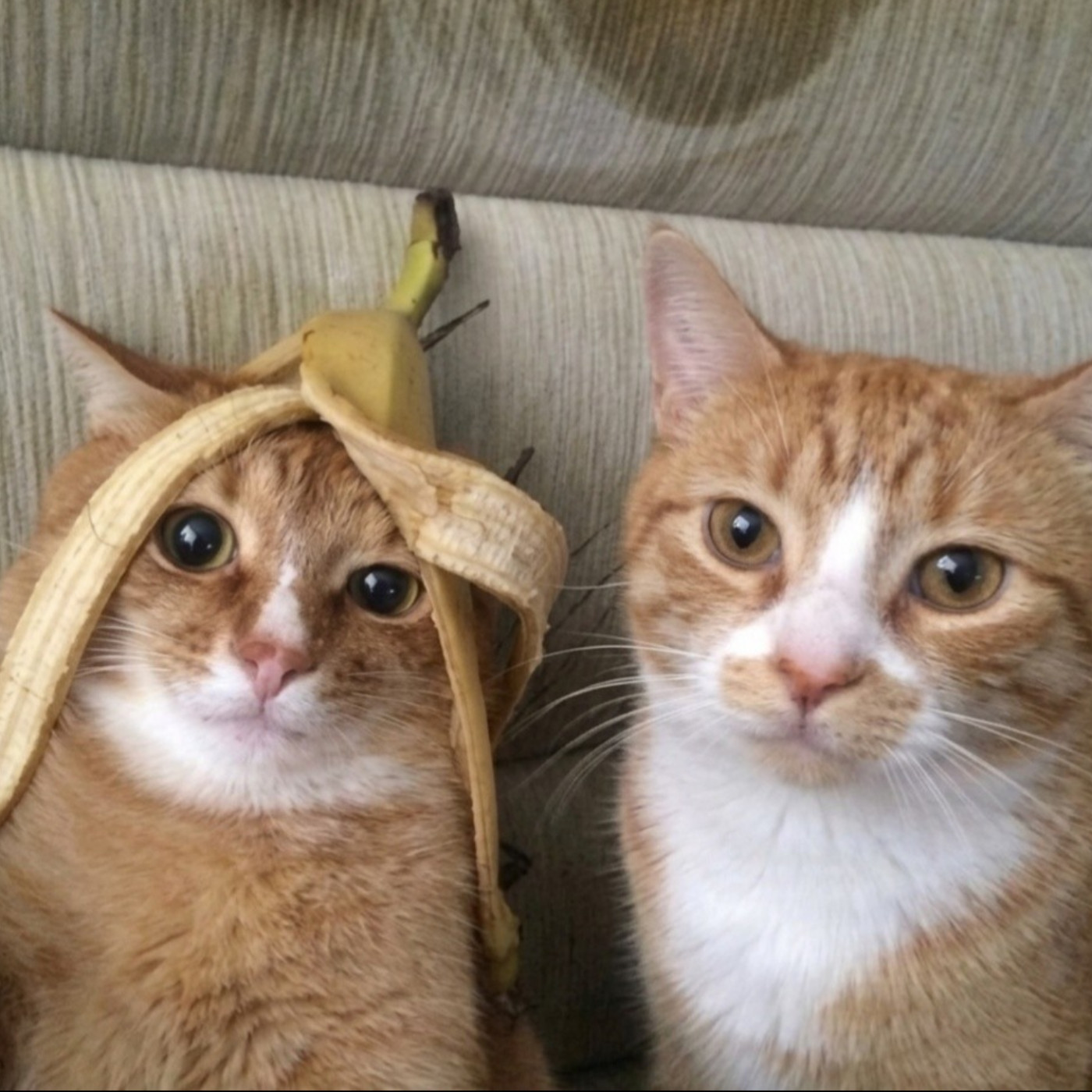 #557 【心事信箱】旅行急尿的求婚💖/ 我曾經是最Soul的soulmate 