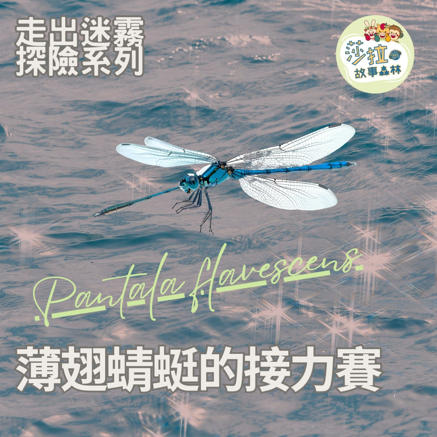 S6 EP21｜薄翅蜻蜓的接力賽 📍夏令營開放報名囉!!!