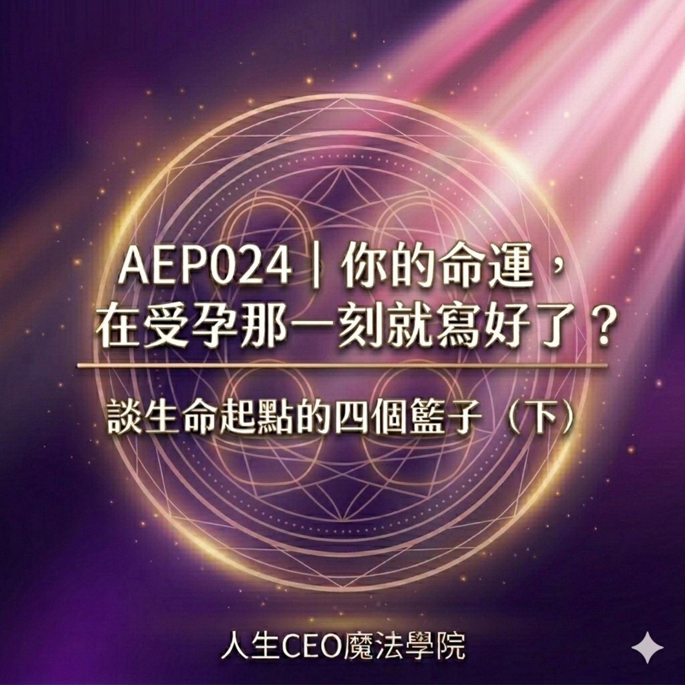 AEP024｜你的命運，在受孕那一刻就寫好了？談生命起點的四個籃子（下） episode artwork