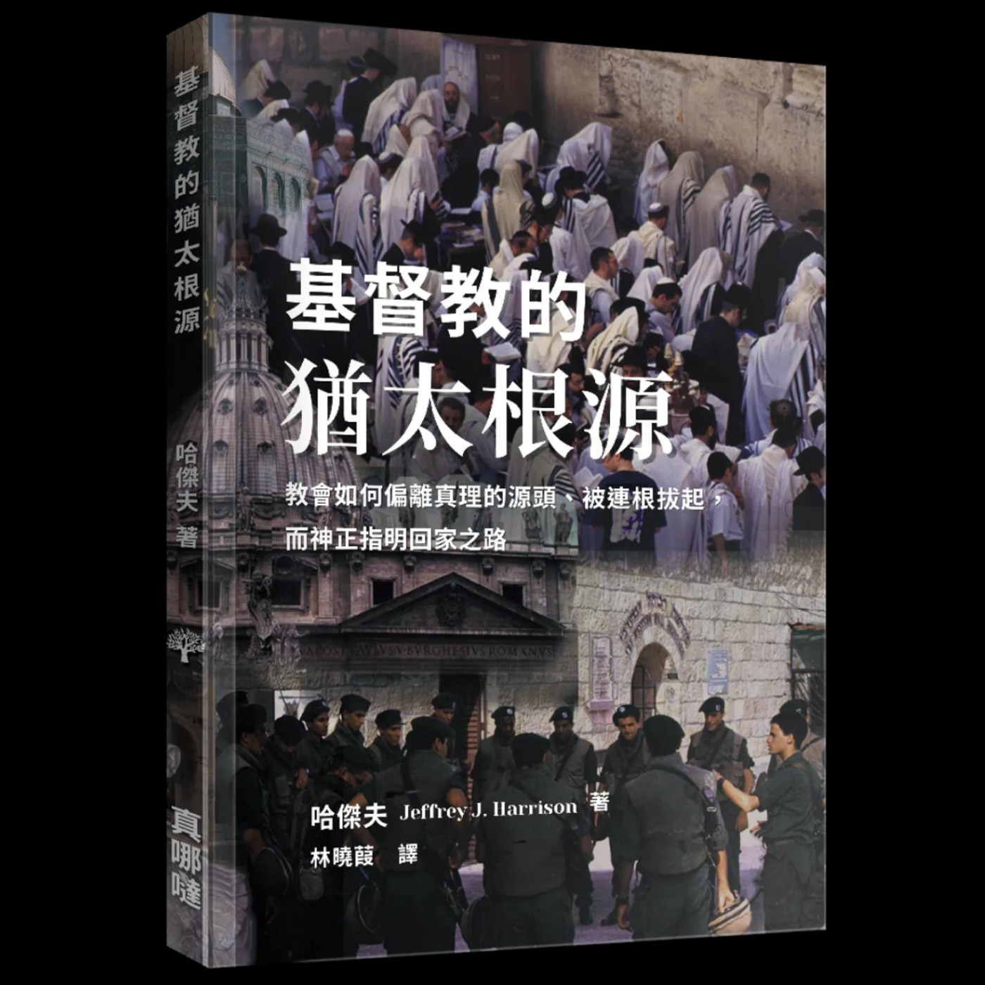 基督徒與他們的產地：基督教的猶太根源：教會如何偏離真理的源頭、被連根拔起，而神正指明回家之路 episode artwork