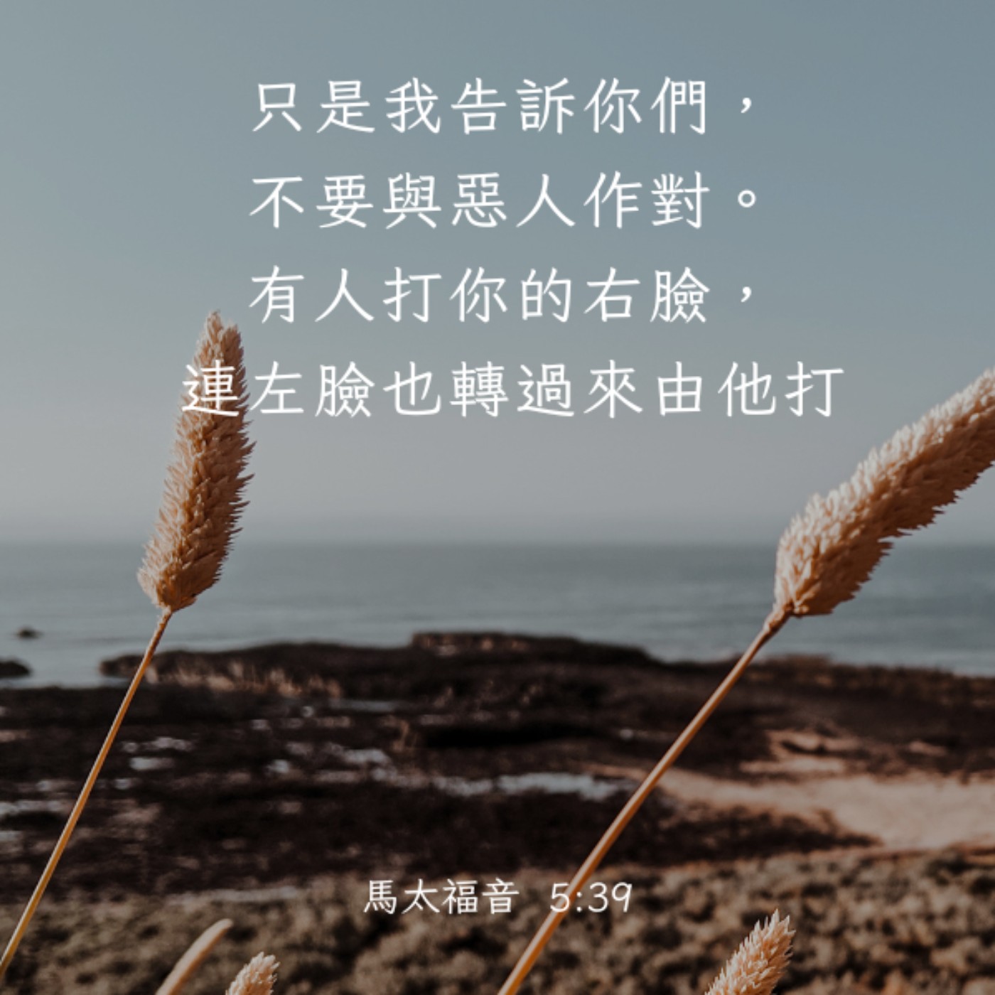 馬太福音 5:38-42 episode artwork