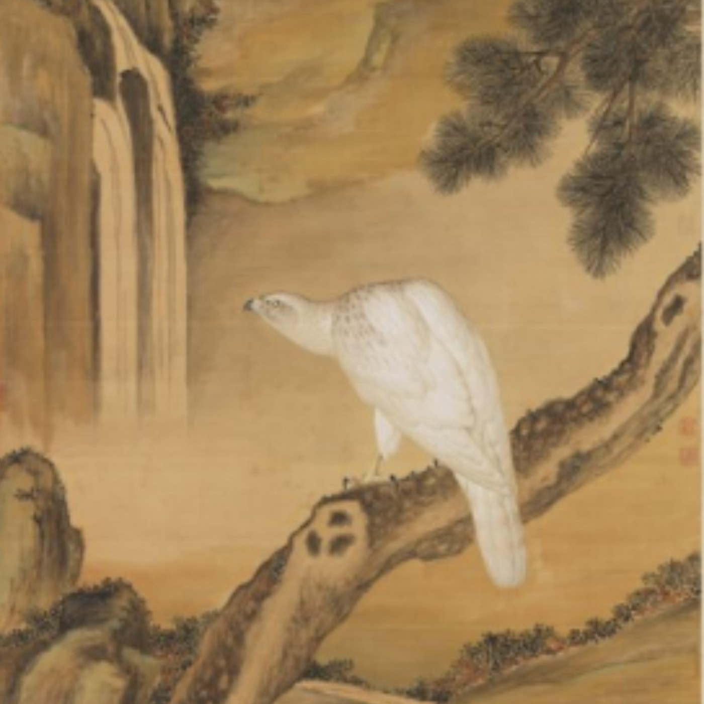 #070-清 郎世寧《畫白鷹》如何用圓潤筆法修復皇家遺憾？ episode artwork