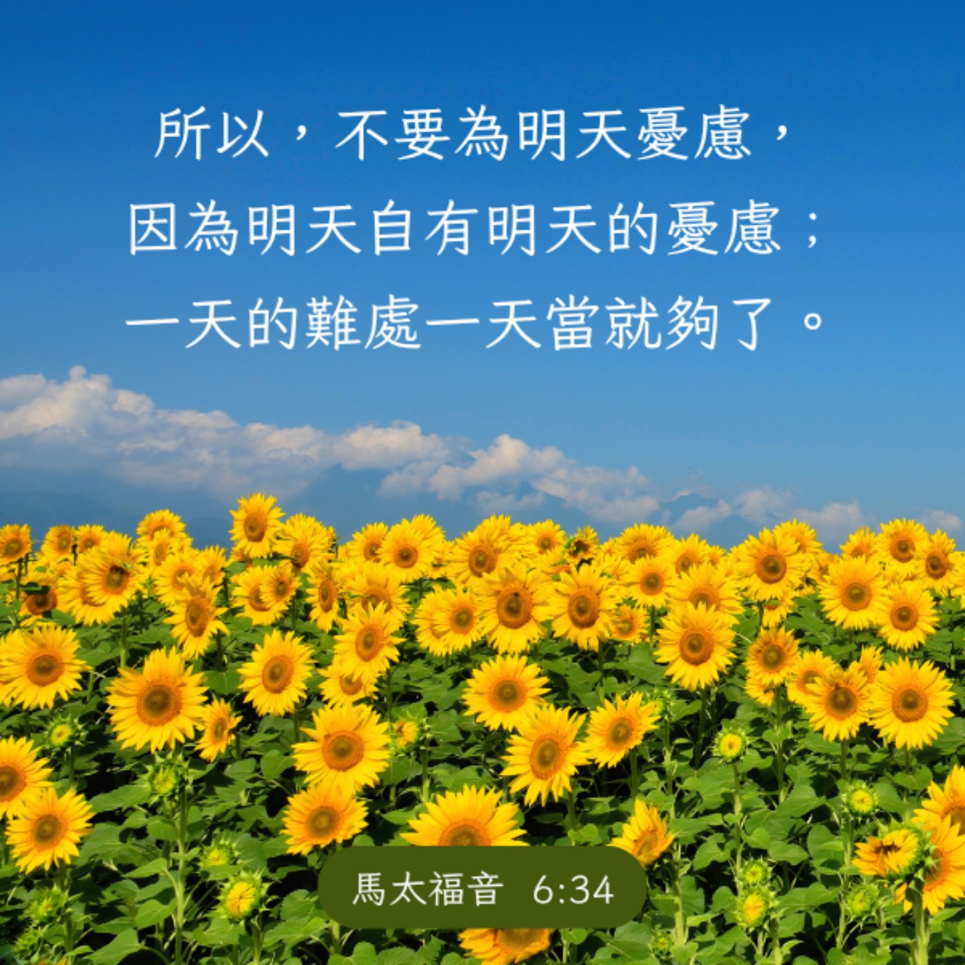 馬太福音 6:25-34 episode artwork